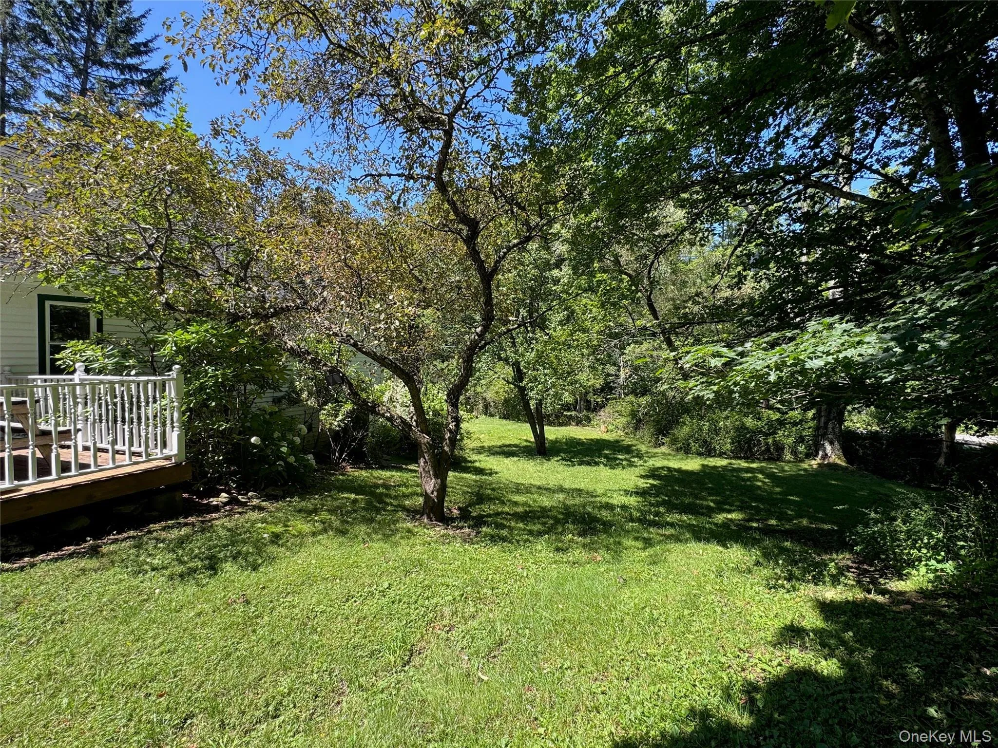 60 Alder Creek Road, Hardenburgh, NY, 3 Bedrooms Bedrooms, 5 Rooms Rooms,1 BathroomBathrooms,Residential,For Rent,Alder Creek,0,1034754 60 Alder Creek Road, Hardenburgh, NY, 3 Bedrooms Bedrooms, 5 Rooms Rooms,1 BathroomBathrooms,Residential,For Rent,Alder Creek,0,1034754