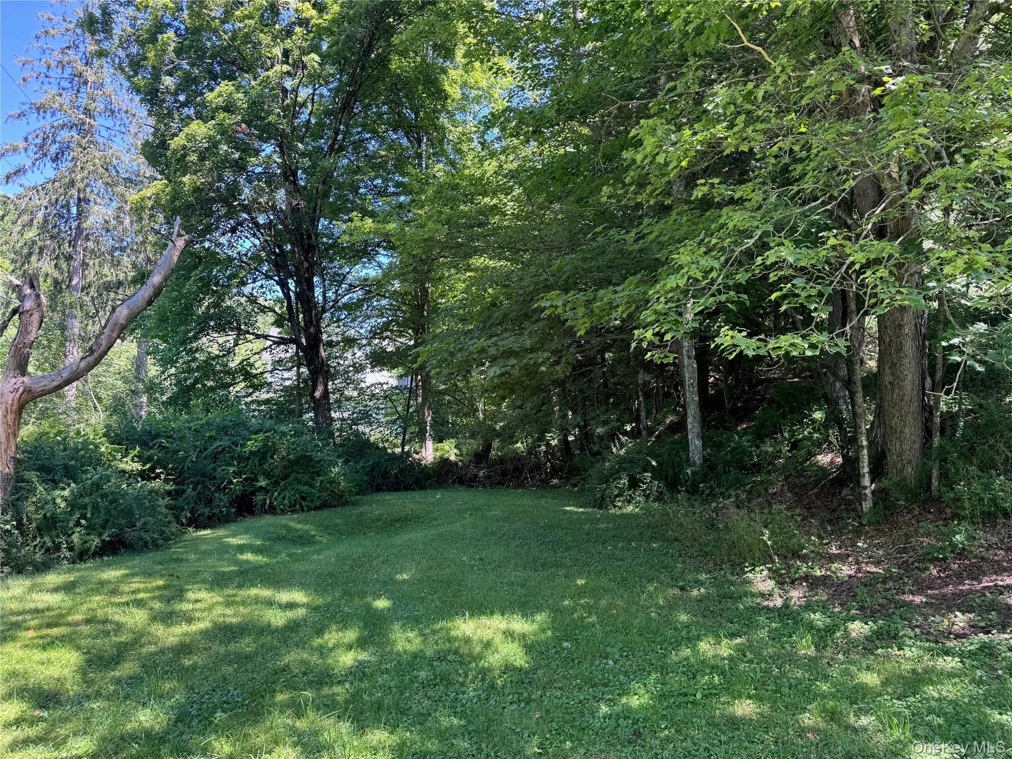 60 Alder Creek Road, Hardenburgh, NY, 3 Bedrooms Bedrooms, 5 Rooms Rooms,1 BathroomBathrooms,Residential,For Rent,Alder Creek,0,1034754 60 Alder Creek Road, Hardenburgh, NY, 3 Bedrooms Bedrooms, 5 Rooms Rooms,1 BathroomBathrooms,Residential,For Rent,Alder Creek,0,1034754