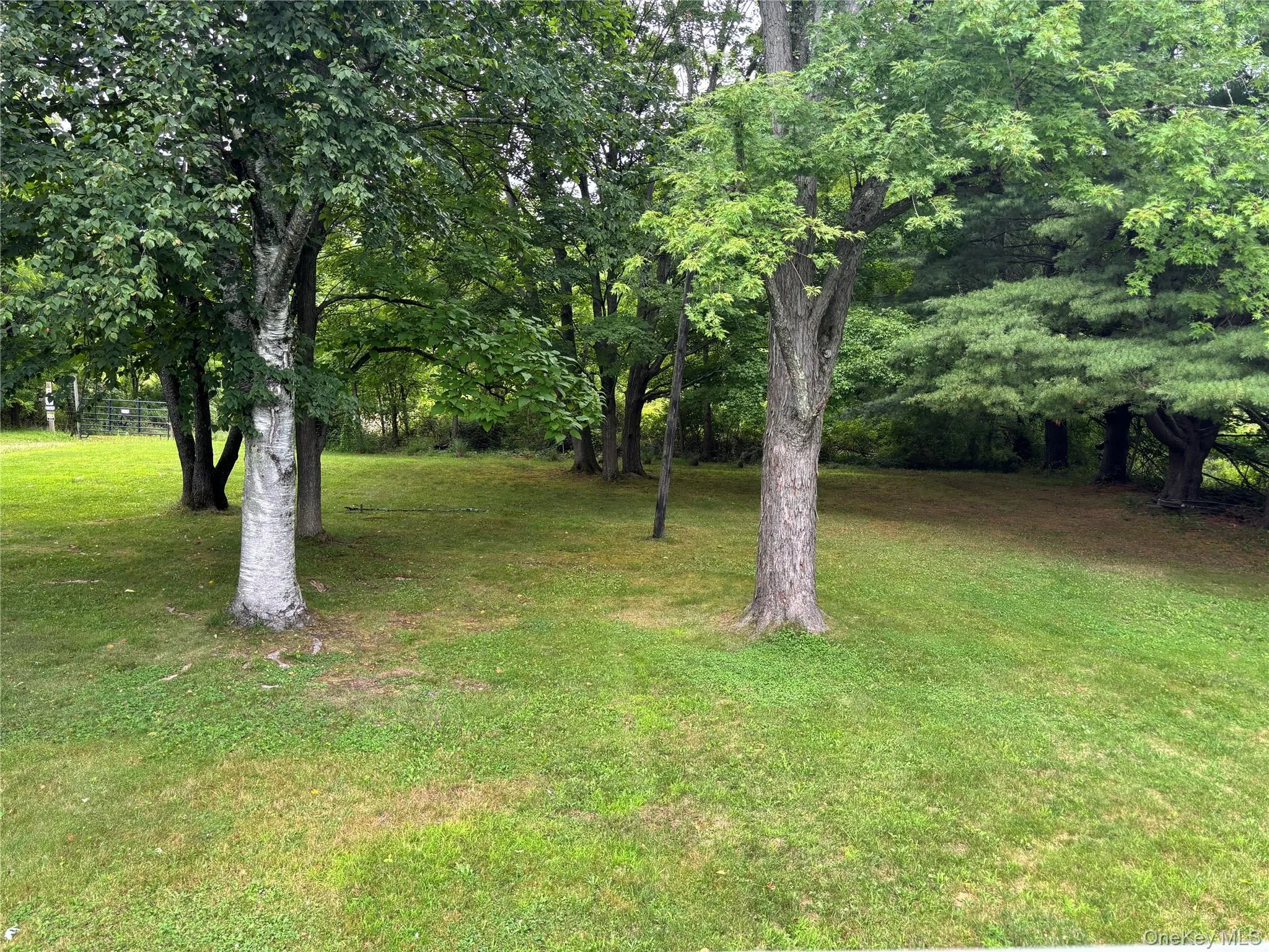 239 Vineyard Avenue, Lloyd, NY, 3 Bedrooms Bedrooms, 7 Rooms Rooms,2 BathroomsBathrooms,Residential Lease,For Rent,Vineyard,0,1034759 239 Vineyard Avenue, Lloyd, NY, 3 Bedrooms Bedrooms, 7 Rooms Rooms,2 BathroomsBathrooms,Residential Lease,For Rent,Vineyard,0,1034759