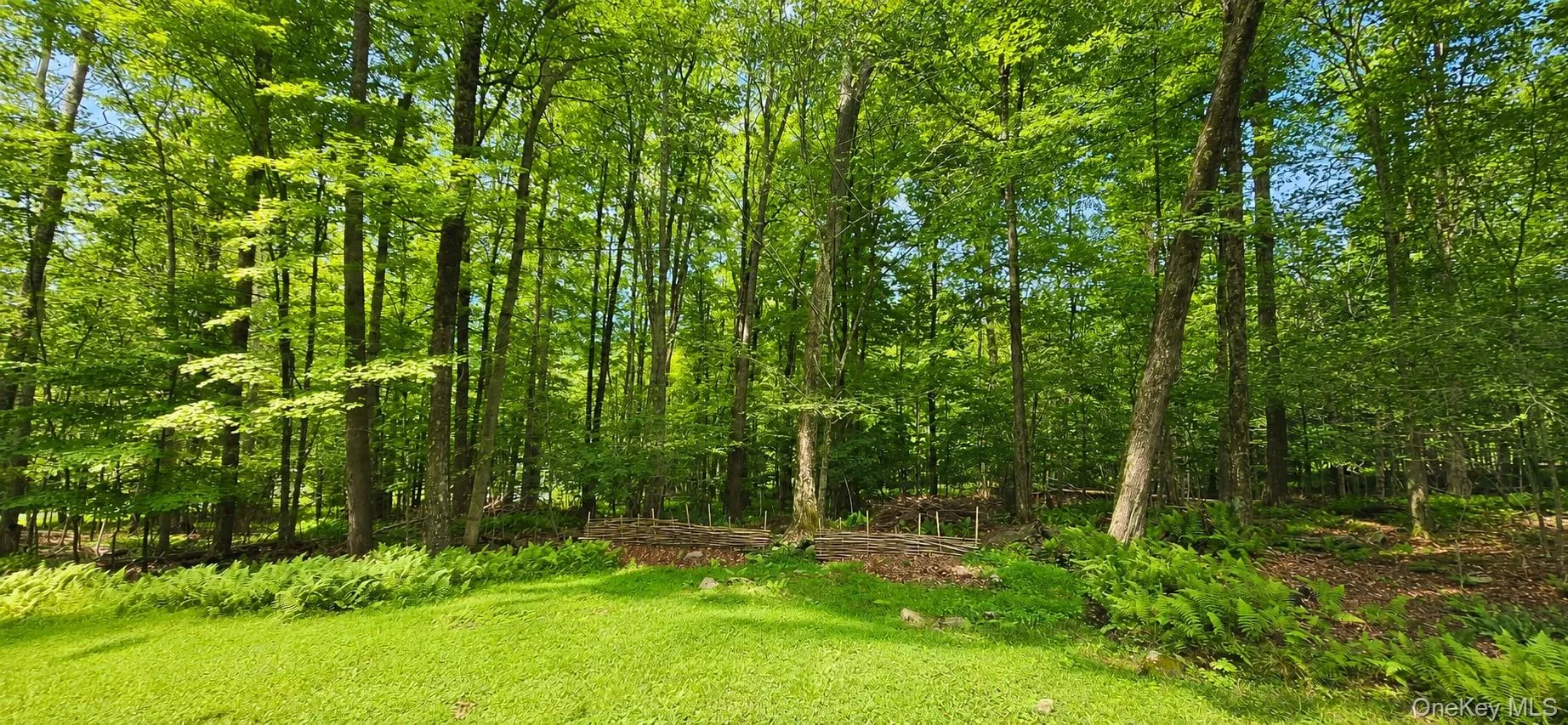 3 Rennison Road, Neversink, NY, 3 Bedrooms Bedrooms, 6 Rooms Rooms,2 BathroomsBathrooms,Residential,For Rent,Rennison,0,1034768 3 Rennison Road, Neversink, NY, 3 Bedrooms Bedrooms, 6 Rooms Rooms,2 BathroomsBathrooms,Residential,For Rent,Rennison,0,1034768