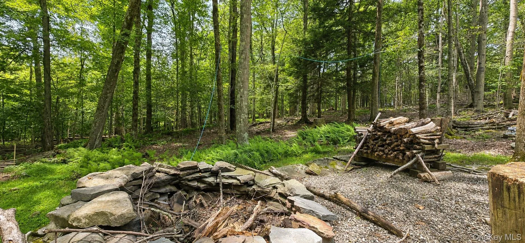 3 Rennison Road, Neversink, NY, 3 Bedrooms Bedrooms, 6 Rooms Rooms,2 BathroomsBathrooms,Residential,For Rent,Rennison,0,1034768 3 Rennison Road, Neversink, NY, 3 Bedrooms Bedrooms, 6 Rooms Rooms,2 BathroomsBathrooms,Residential,For Rent,Rennison,0,1034768