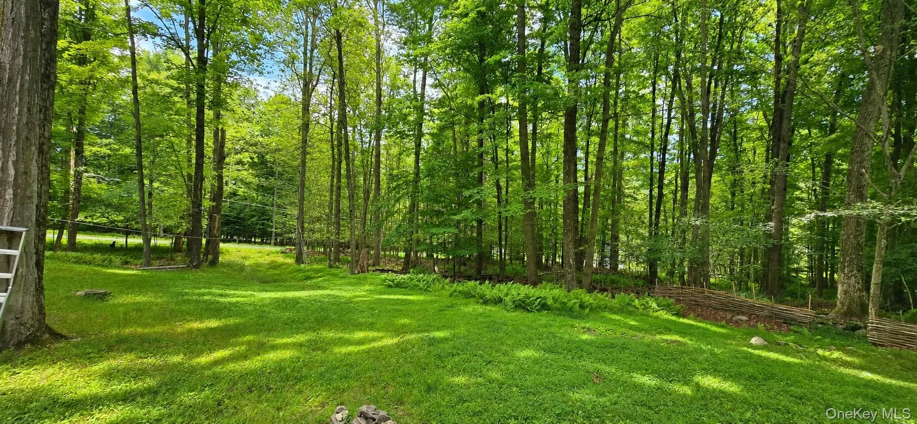 3 Rennison Road, Neversink, NY, 3 Bedrooms Bedrooms, 6 Rooms Rooms,2 BathroomsBathrooms,Residential,For Rent,Rennison,0,1034768 3 Rennison Road, Neversink, NY, 3 Bedrooms Bedrooms, 6 Rooms Rooms,2 BathroomsBathrooms,Residential,For Rent,Rennison,0,1034768