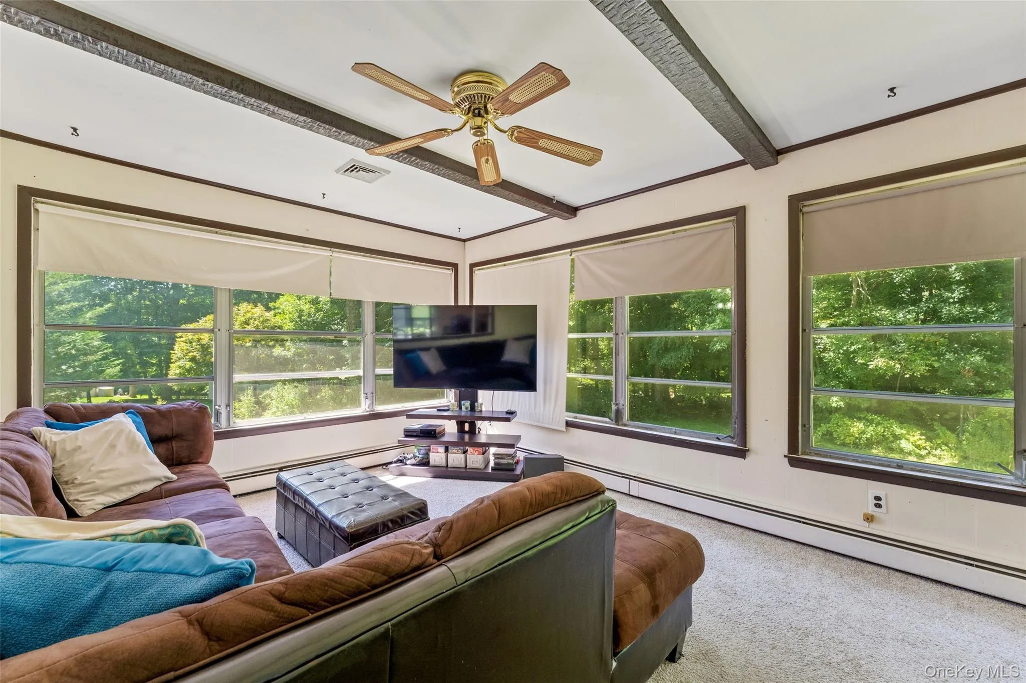 Spacious living room with full walls of windows and natural light Spacious living room with full walls of windows and natural light