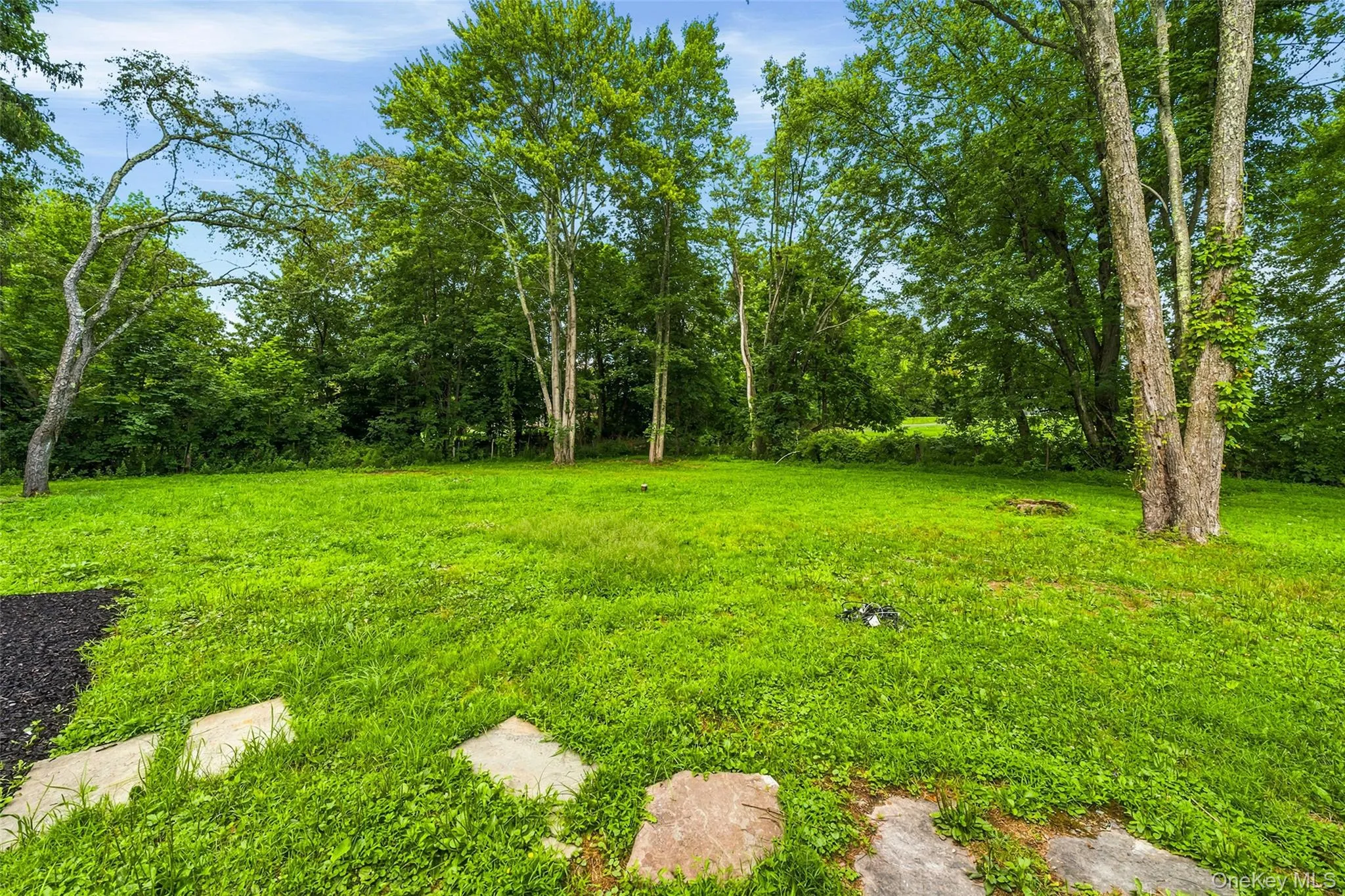 Expansive manicured flat lawn anchored by mature shade trees, offering abundant outdoor space Expansive manicured flat lawn anchored by mature shade trees, offering abundant outdoor space