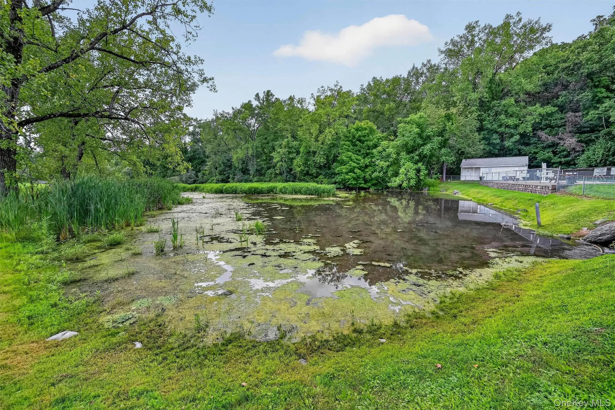 1006 Parr Meadow Drive, Newburgh (town), NY, 2 Bedrooms Bedrooms, 4 Rooms Rooms,1 BathroomBathrooms,Residential,For Rent,Parr Meadow,0,1034791 1006 Parr Meadow Drive, Newburgh (town), NY, 2 Bedrooms Bedrooms, 4 Rooms Rooms,1 BathroomBathrooms,Residential,For Rent,Parr Meadow,0,1034791