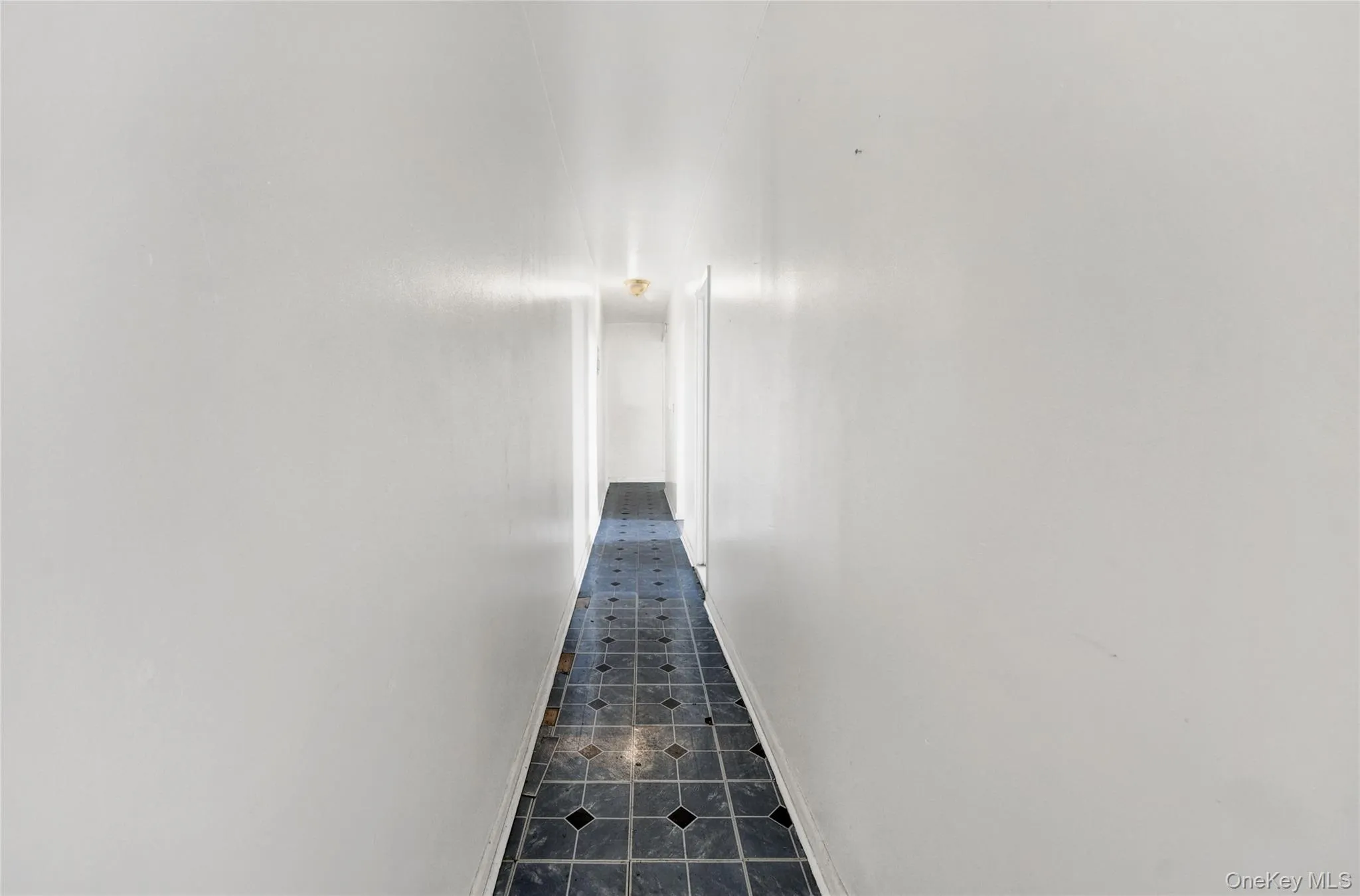 975 Union, New York, NY, 3 Bedrooms Bedrooms, 6 Rooms Rooms,1 BathroomBathrooms,Residential,For Rent,Union,0,1034800 975 Union, New York, NY, 3 Bedrooms Bedrooms, 6 Rooms Rooms,1 BathroomBathrooms,Residential,For Rent,Union,0,1034800