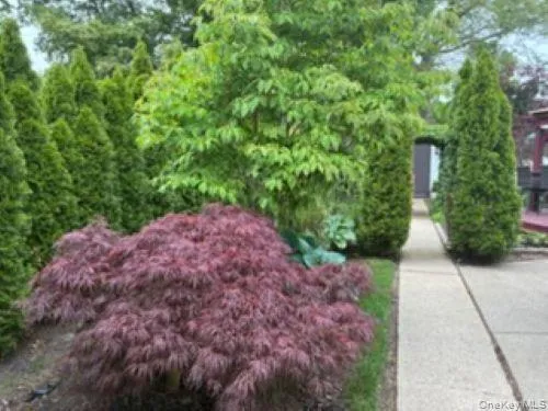 1661 Old Country Road, Riverhead, NY, 2 Bedrooms Bedrooms, 5 Rooms Rooms,2 BathroomsBathrooms,Residential,For Rent,Old Country,0,1034893 1661 Old Country Road, Riverhead, NY, 2 Bedrooms Bedrooms, 5 Rooms Rooms,2 BathroomsBathrooms,Residential,For Rent,Old Country,0,1034893