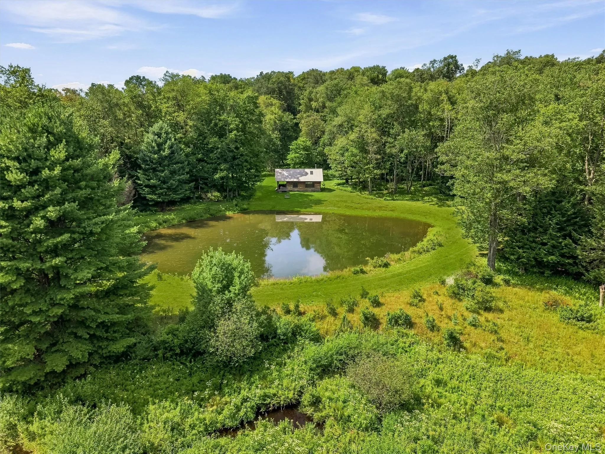 62 Laird Road, Bethel, NY, 4 Bedrooms Bedrooms, 7 Rooms Rooms,3 BathroomsBathrooms,Residential,For Rent,Laird,0,1034909 62 Laird Road, Bethel, NY, 4 Bedrooms Bedrooms, 7 Rooms Rooms,3 BathroomsBathrooms,Residential,For Rent,Laird,0,1034909