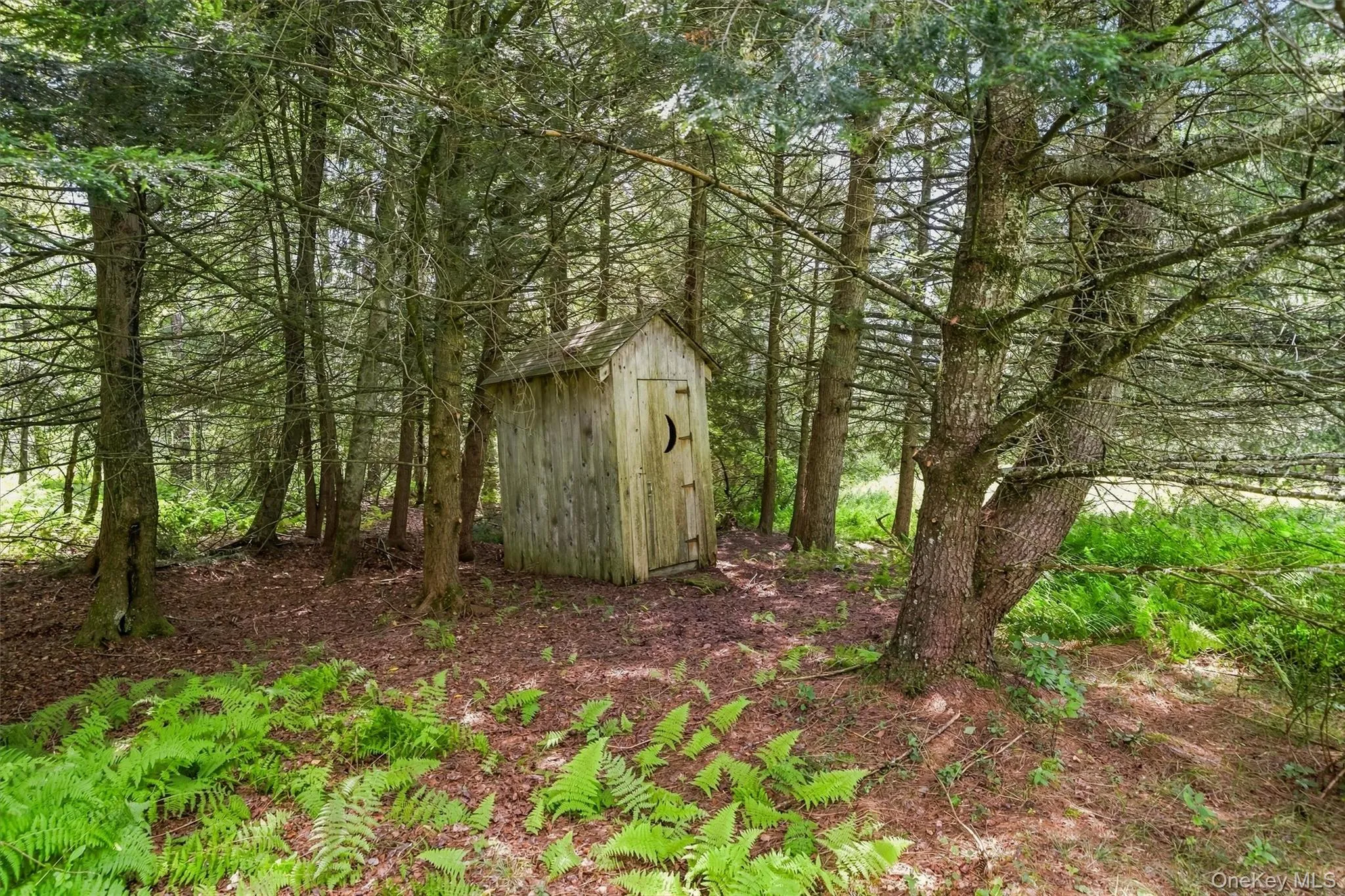62 Laird Road, Bethel, NY, 4 Bedrooms Bedrooms, 7 Rooms Rooms,3 BathroomsBathrooms,Residential,For Rent,Laird,0,1034909 62 Laird Road, Bethel, NY, 4 Bedrooms Bedrooms, 7 Rooms Rooms,3 BathroomsBathrooms,Residential,For Rent,Laird,0,1034909