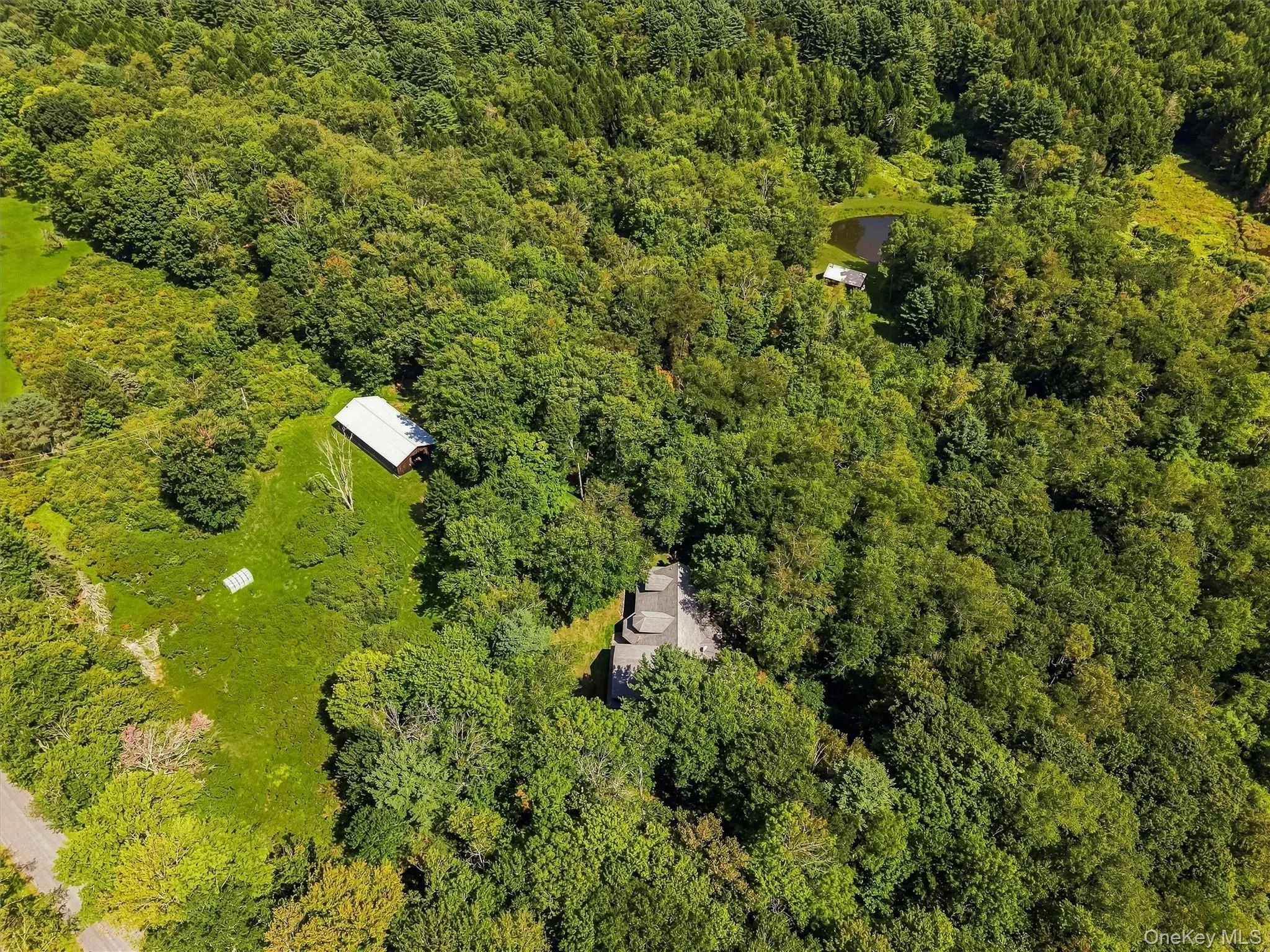 62 Laird Road, Bethel, NY, 4 Bedrooms Bedrooms, 7 Rooms Rooms,3 BathroomsBathrooms,Residential,For Rent,Laird,0,1034909 62 Laird Road, Bethel, NY, 4 Bedrooms Bedrooms, 7 Rooms Rooms,3 BathroomsBathrooms,Residential,For Rent,Laird,0,1034909