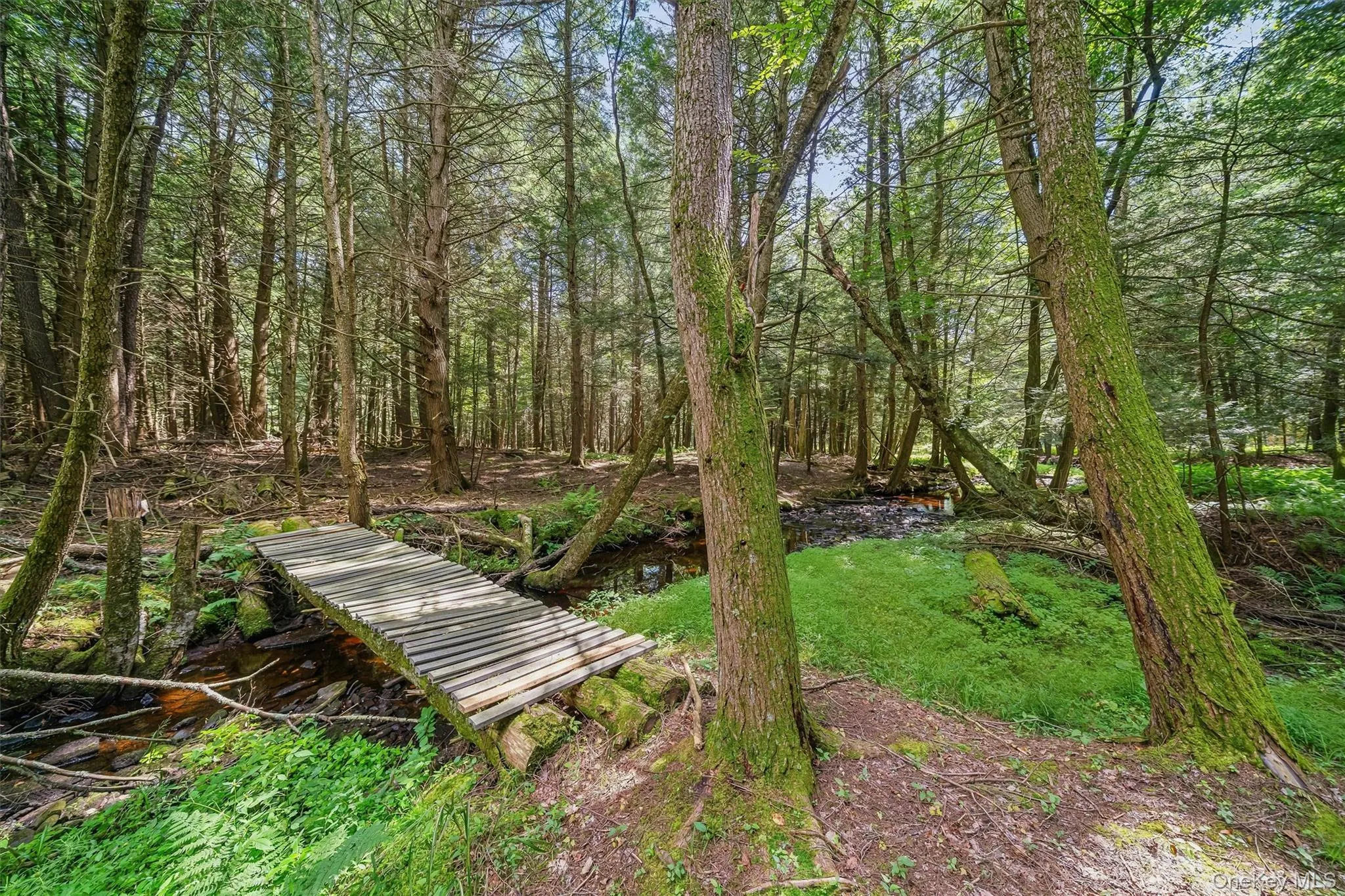 62 Laird Road, Bethel, NY, 4 Bedrooms Bedrooms, 7 Rooms Rooms,3 BathroomsBathrooms,Residential,For Rent,Laird,0,1034909 62 Laird Road, Bethel, NY, 4 Bedrooms Bedrooms, 7 Rooms Rooms,3 BathroomsBathrooms,Residential,For Rent,Laird,0,1034909