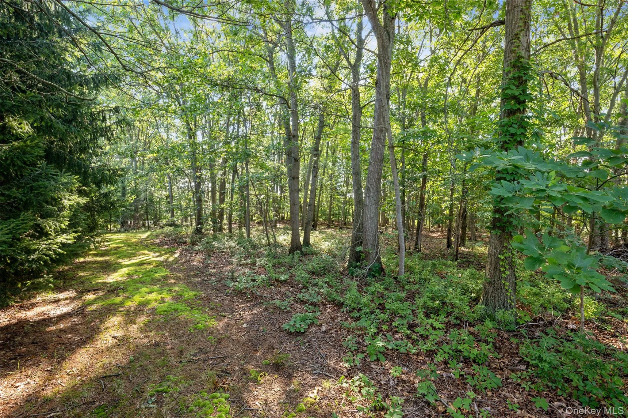 10 Old Northport Road, Smithtown, NY, 4 Bedrooms Bedrooms, 7 Rooms Rooms,2 BathroomsBathrooms,Residential,For Rent,Old Northport,0,1034972 10 Old Northport Road, Smithtown, NY, 4 Bedrooms Bedrooms, 7 Rooms Rooms,2 BathroomsBathrooms,Residential,For Rent,Old Northport,0,1034972