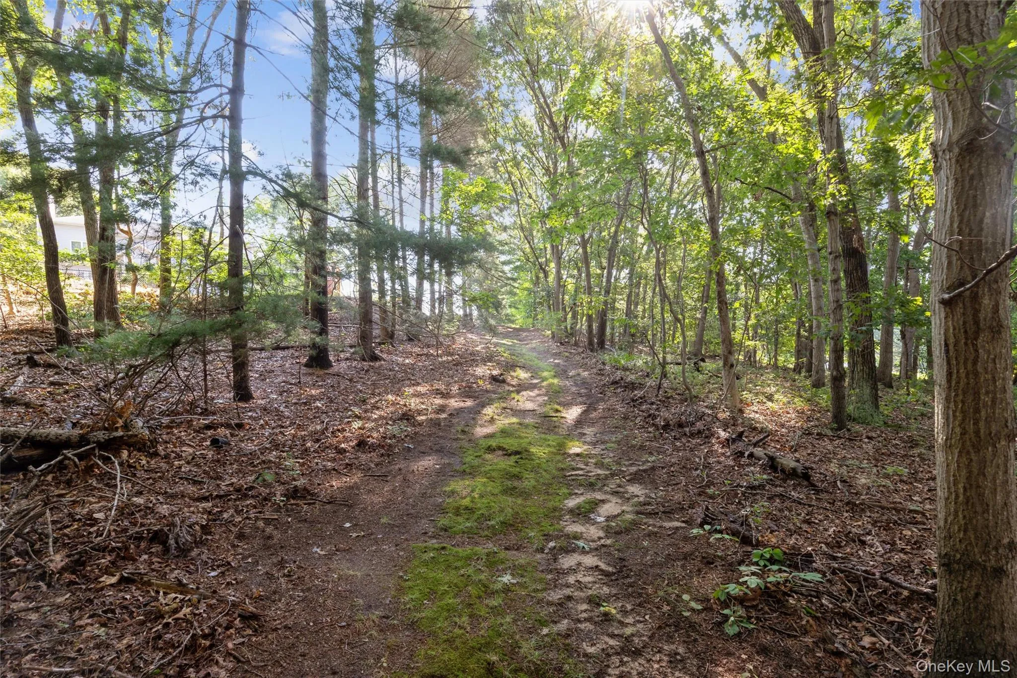 Rare 2.48 acres Rare 2.48 acres