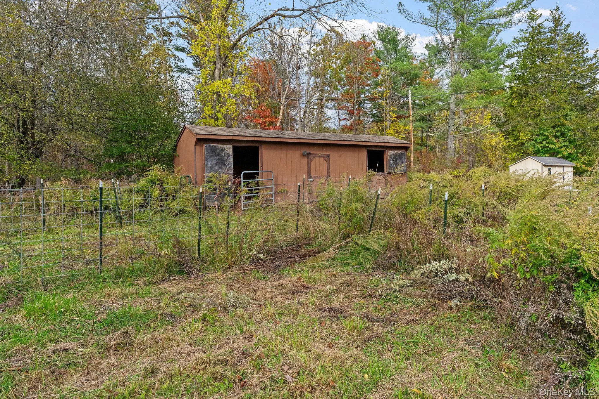 View of yard with an outbuilding View of yard with an outbuilding