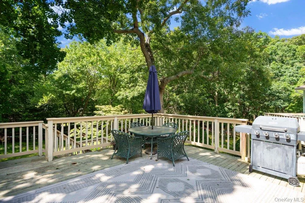 64 Sally Lane, Brookhaven, NY, 3 Bedrooms Bedrooms, 8 Rooms Rooms,3 BathroomsBathrooms,Residential,For Rent,Sally,0,1035028 64 Sally Lane, Brookhaven, NY, 3 Bedrooms Bedrooms, 8 Rooms Rooms,3 BathroomsBathrooms,Residential,For Rent,Sally,0,1035028