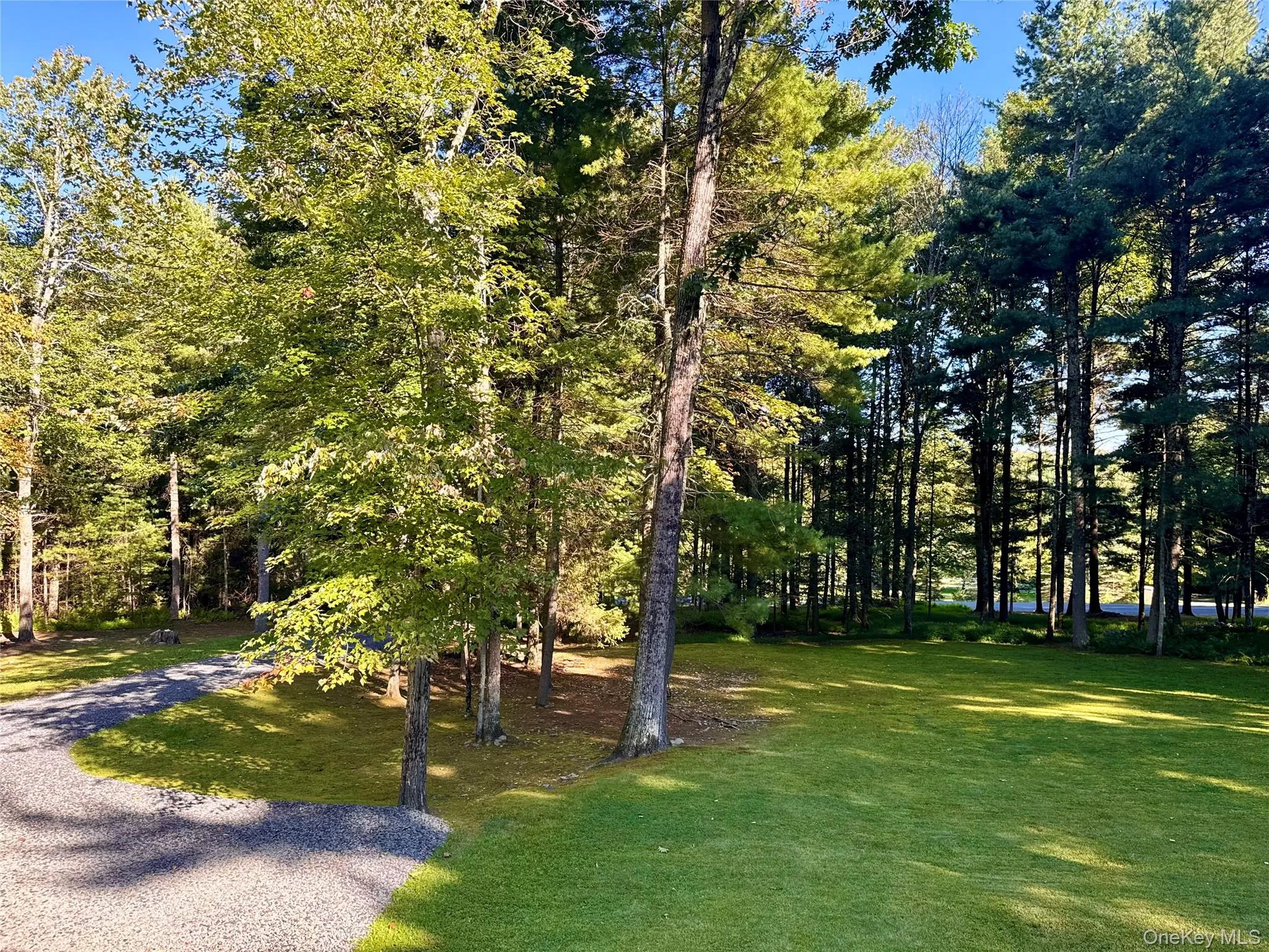 63 Geba Drive, Lumberland, NY, 3 Bedrooms Bedrooms, 8 Rooms Rooms,2 BathroomsBathrooms,Residential,For Rent,Geba,0,1035069 63 Geba Drive, Lumberland, NY, 3 Bedrooms Bedrooms, 8 Rooms Rooms,2 BathroomsBathrooms,Residential,For Rent,Geba,0,1035069