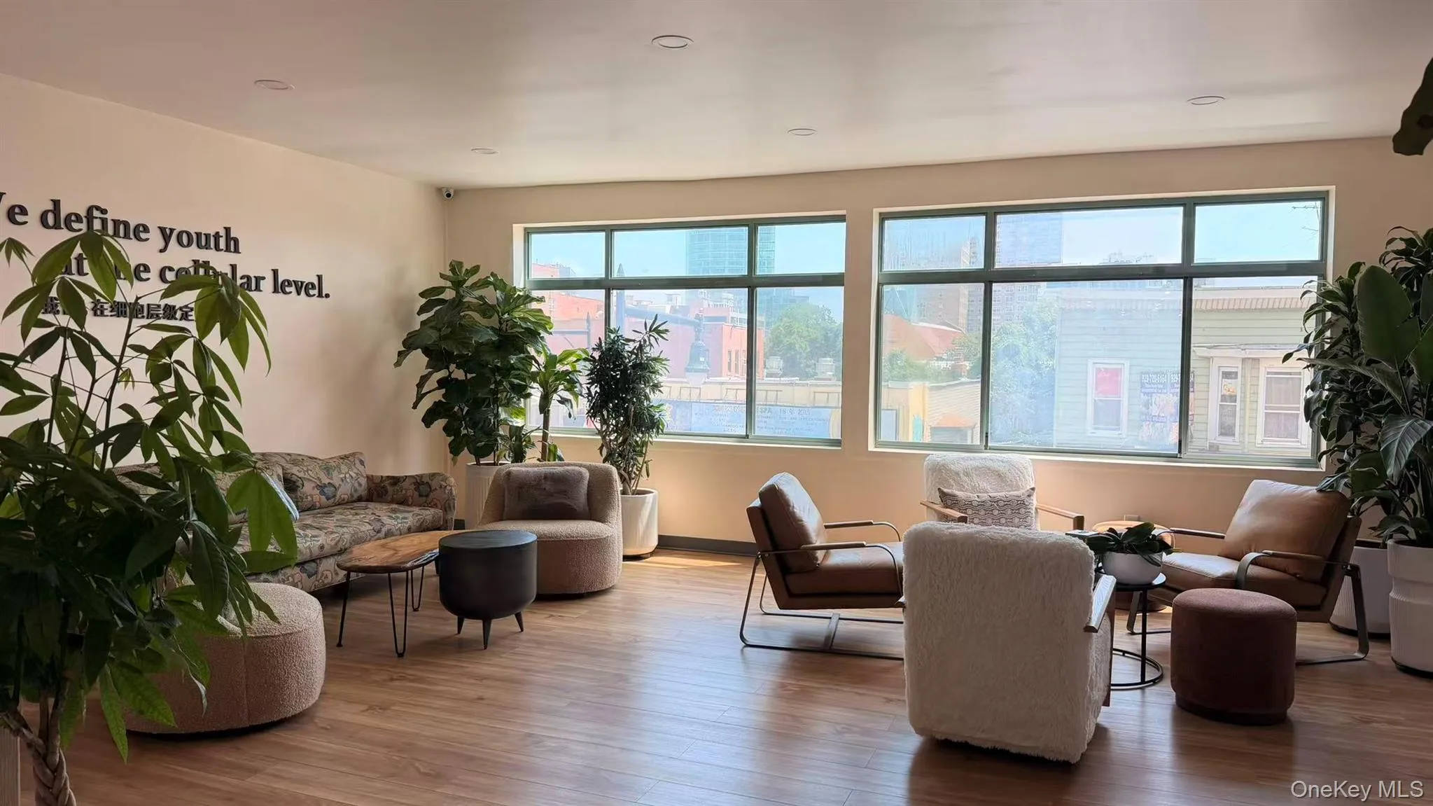 13681 Roosevelt Avenue, New York, NY, ,Commercial Lease,For Rent,Roosevelt,0,1035086 13681 Roosevelt Avenue, New York, NY, ,Commercial Lease,For Rent,Roosevelt,0,1035086