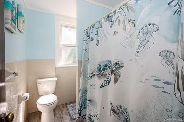 7333 71st Place, New York, NY, 3 Bedrooms Bedrooms, 6 Rooms Rooms,1 BathroomBathrooms,Residential,For Rent,71st,0,1035116 7333 71st Place, New York, NY, 3 Bedrooms Bedrooms, 6 Rooms Rooms,1 BathroomBathrooms,Residential,For Rent,71st,0,1035116