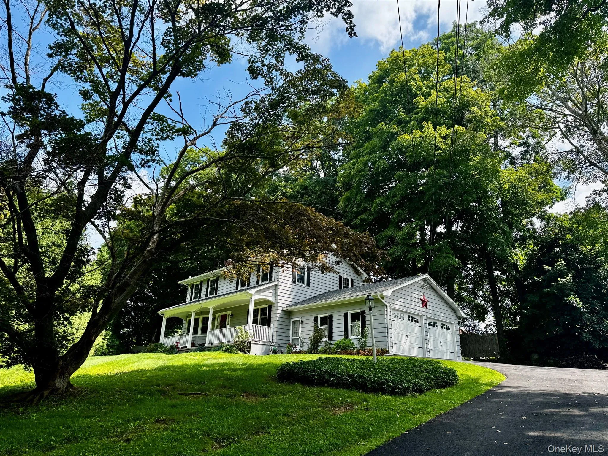 Lush Lawn and Mature Trees Lush Lawn and Mature Trees