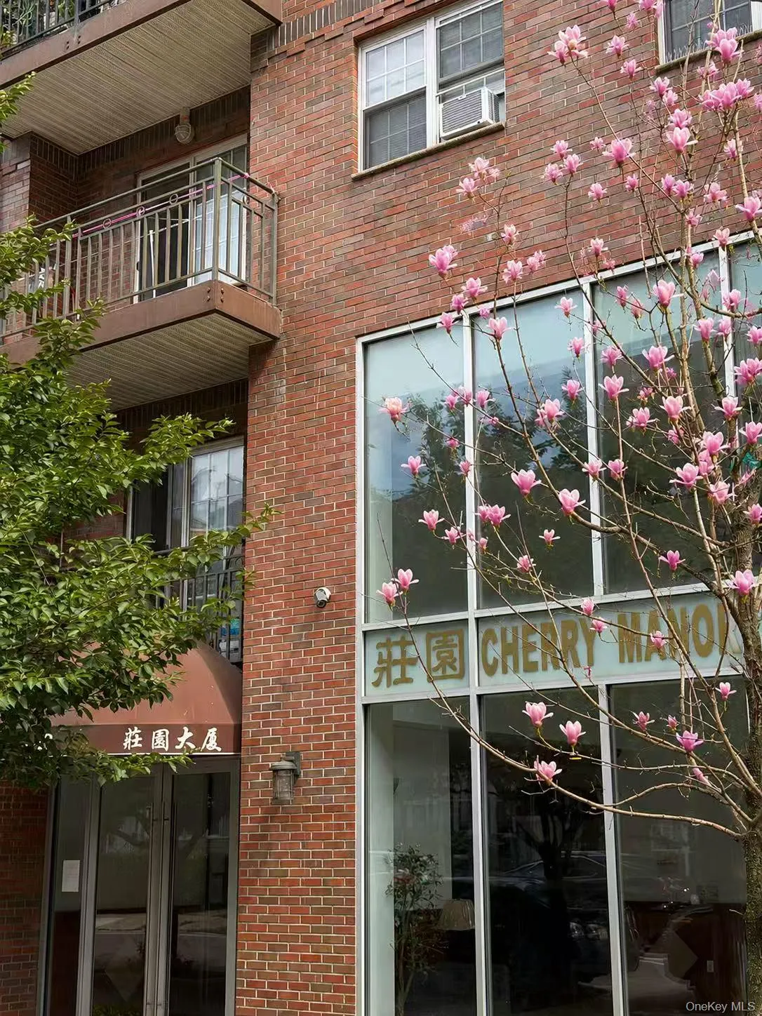 14118 Cherry Avenue, New York, NY, 1 Bedroom Bedrooms, 3 Rooms Rooms,1 BathroomBathrooms,Residential,For Rent,Cherry,0,1035201 14118 Cherry Avenue, New York, NY, 1 Bedroom Bedrooms, 3 Rooms Rooms,1 BathroomBathrooms,Residential,For Rent,Cherry,0,1035201
