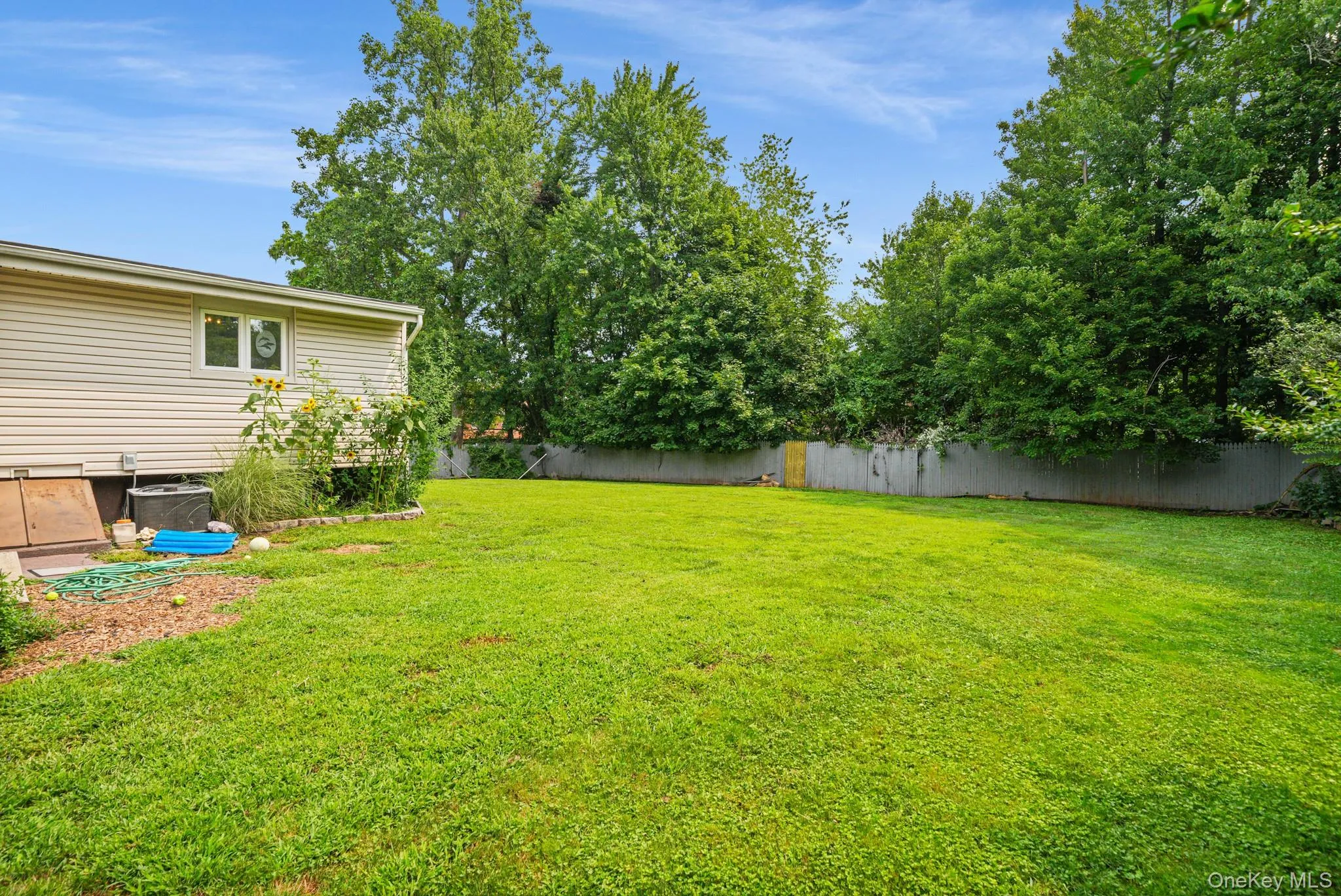Spacious, fenced in yard Spacious, fenced in yard