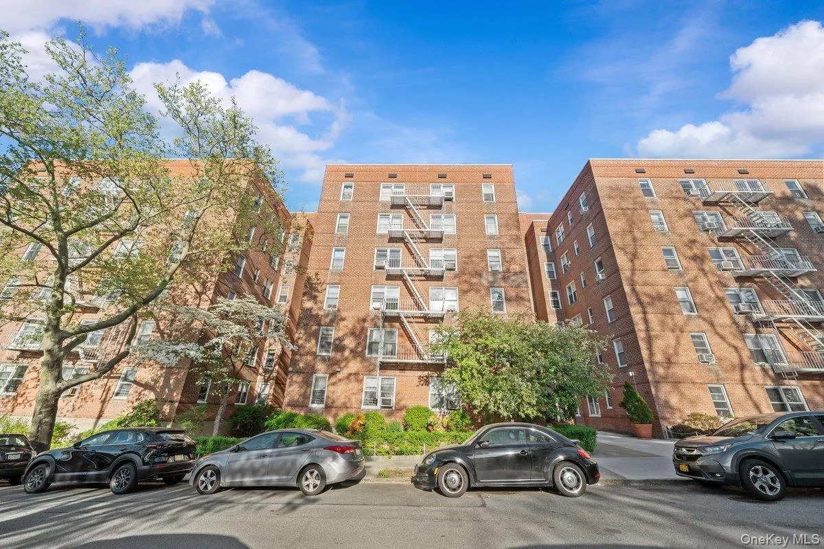 517 Riverdale Avenue, Yonkers, NY, 1 Bedroom Bedrooms, 3 Rooms Rooms,1 BathroomBathrooms,Residential,For Rent,Riverdale,0,1035230 517 Riverdale Avenue, Yonkers, NY, 1 Bedroom Bedrooms, 3 Rooms Rooms,1 BathroomBathrooms,Residential,For Rent,Riverdale,0,1035230