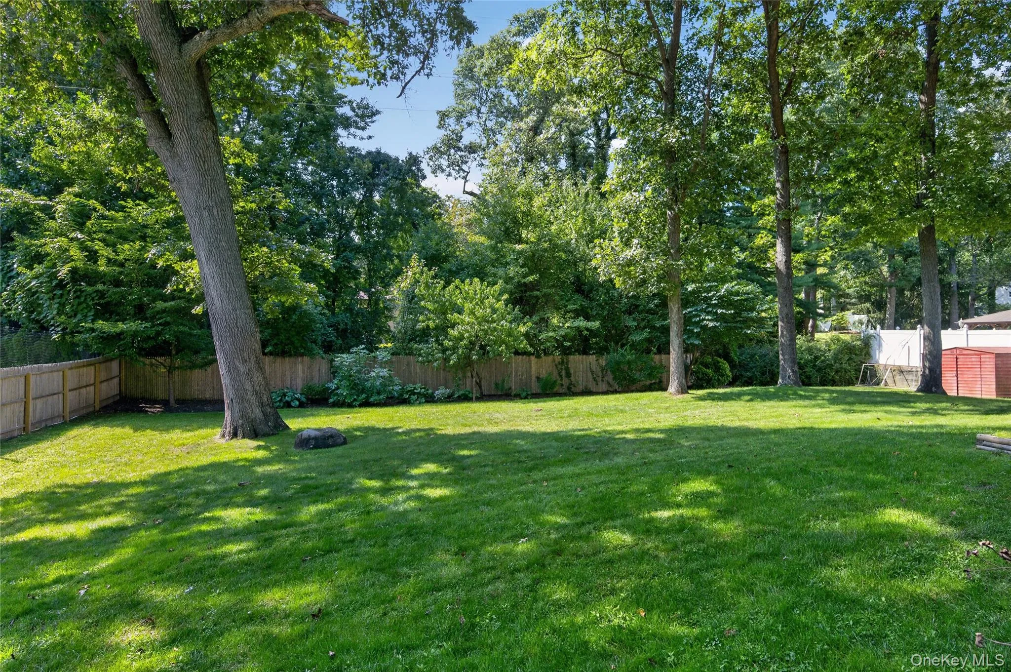 Backyard Backyard