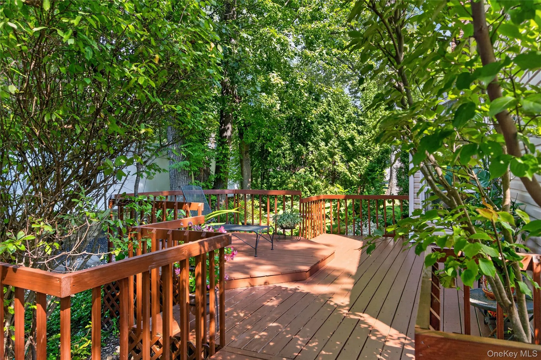 Large wrap-around deck Large wrap-around deck