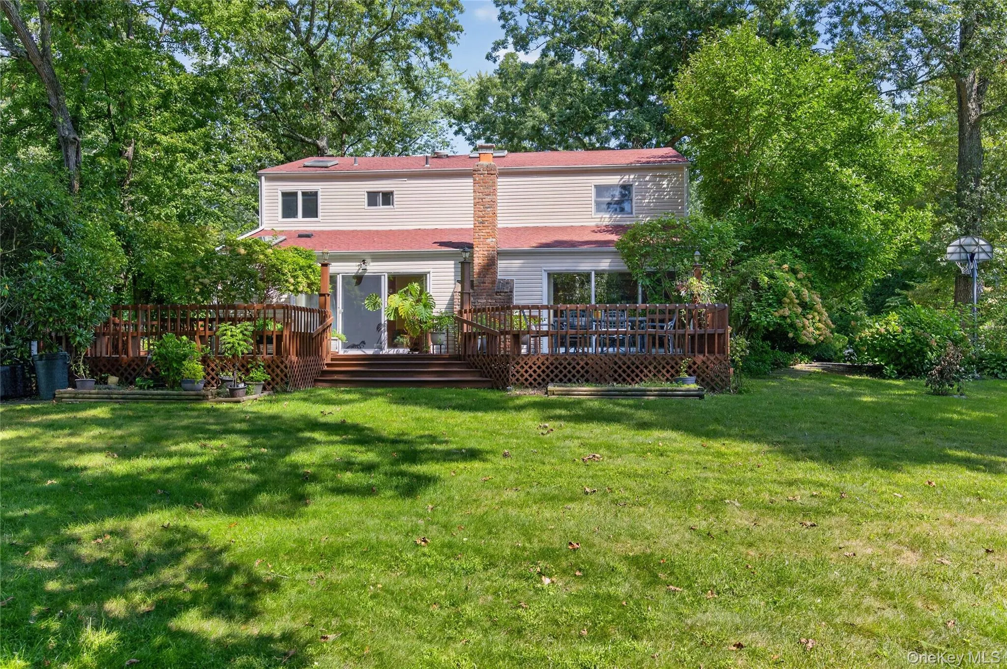 Backyard Backyard