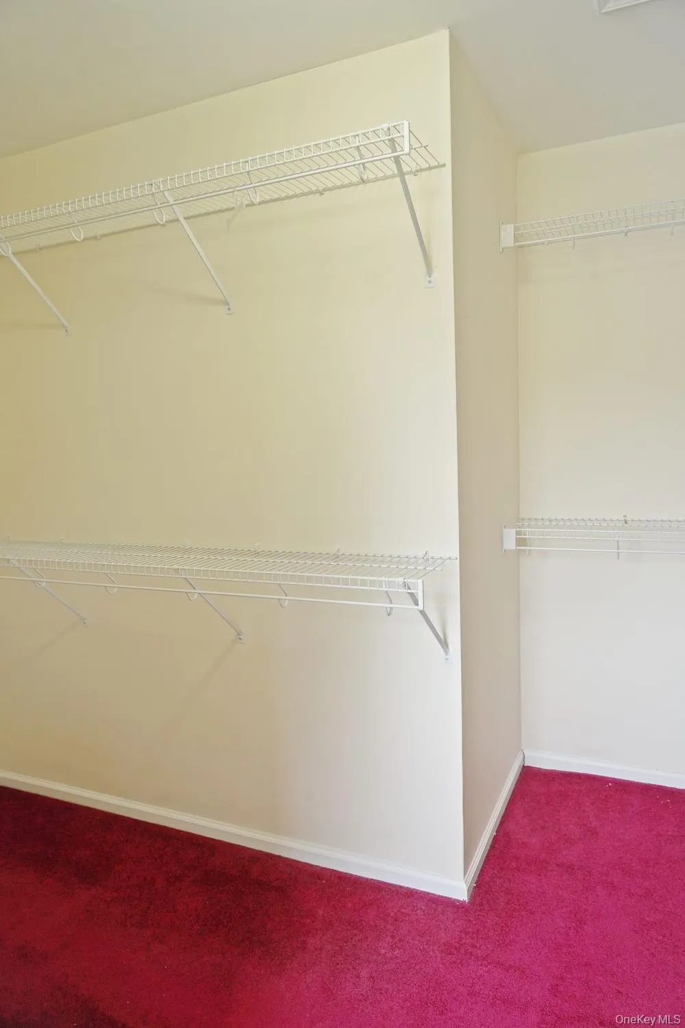 Spacious closet featuring carpet flooring Spacious closet featuring carpet flooring