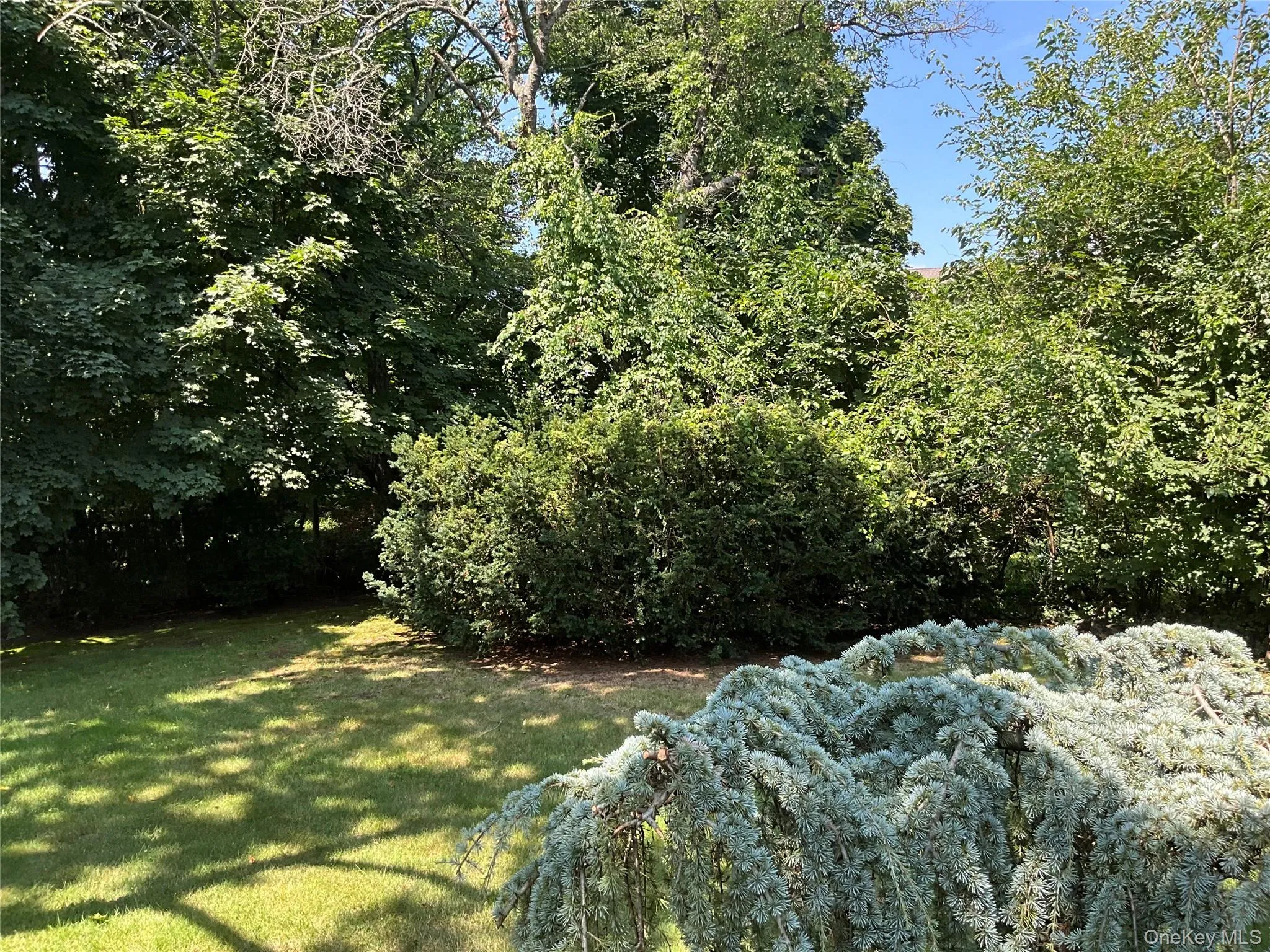 195 Central Park Road, Oyster Bay, NY, 3 Bedrooms Bedrooms, 7 Rooms Rooms,1 BathroomBathrooms,Residential Lease,For Rent,Central Park,0,1035303 195 Central Park Road, Oyster Bay, NY, 3 Bedrooms Bedrooms, 7 Rooms Rooms,1 BathroomBathrooms,Residential Lease,For Rent,Central Park,0,1035303