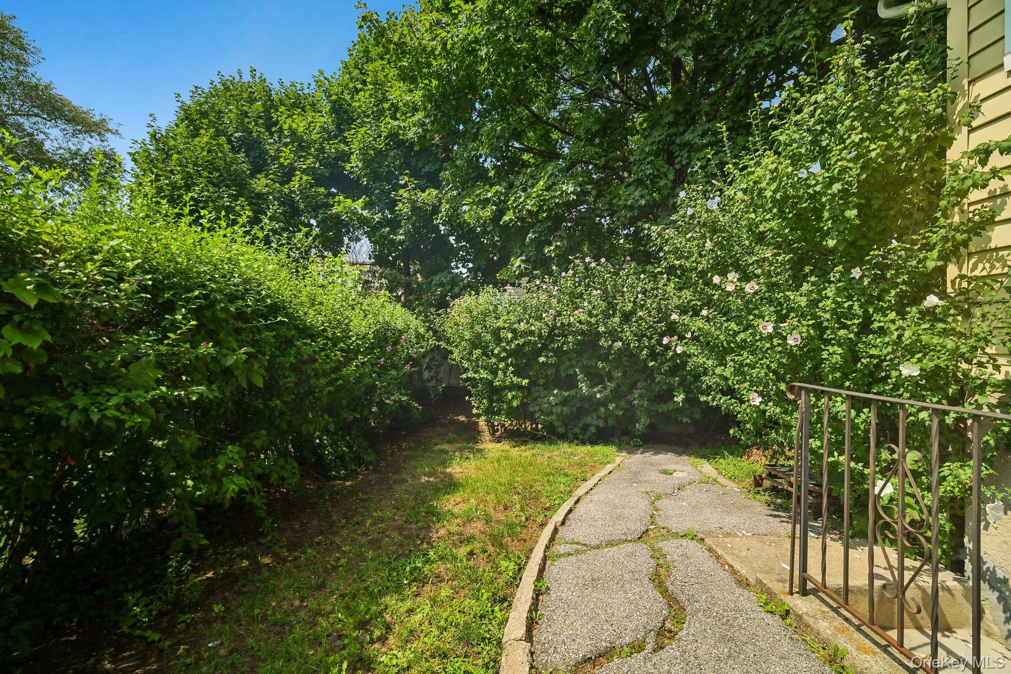 174 Frederick Avenue, Hempstead, NY, 3 Bedrooms Bedrooms, 8 Rooms Rooms,2 BathroomsBathrooms,Residential,For Rent,Frederick,0,1035310 174 Frederick Avenue, Hempstead, NY, 3 Bedrooms Bedrooms, 8 Rooms Rooms,2 BathroomsBathrooms,Residential,For Rent,Frederick,0,1035310