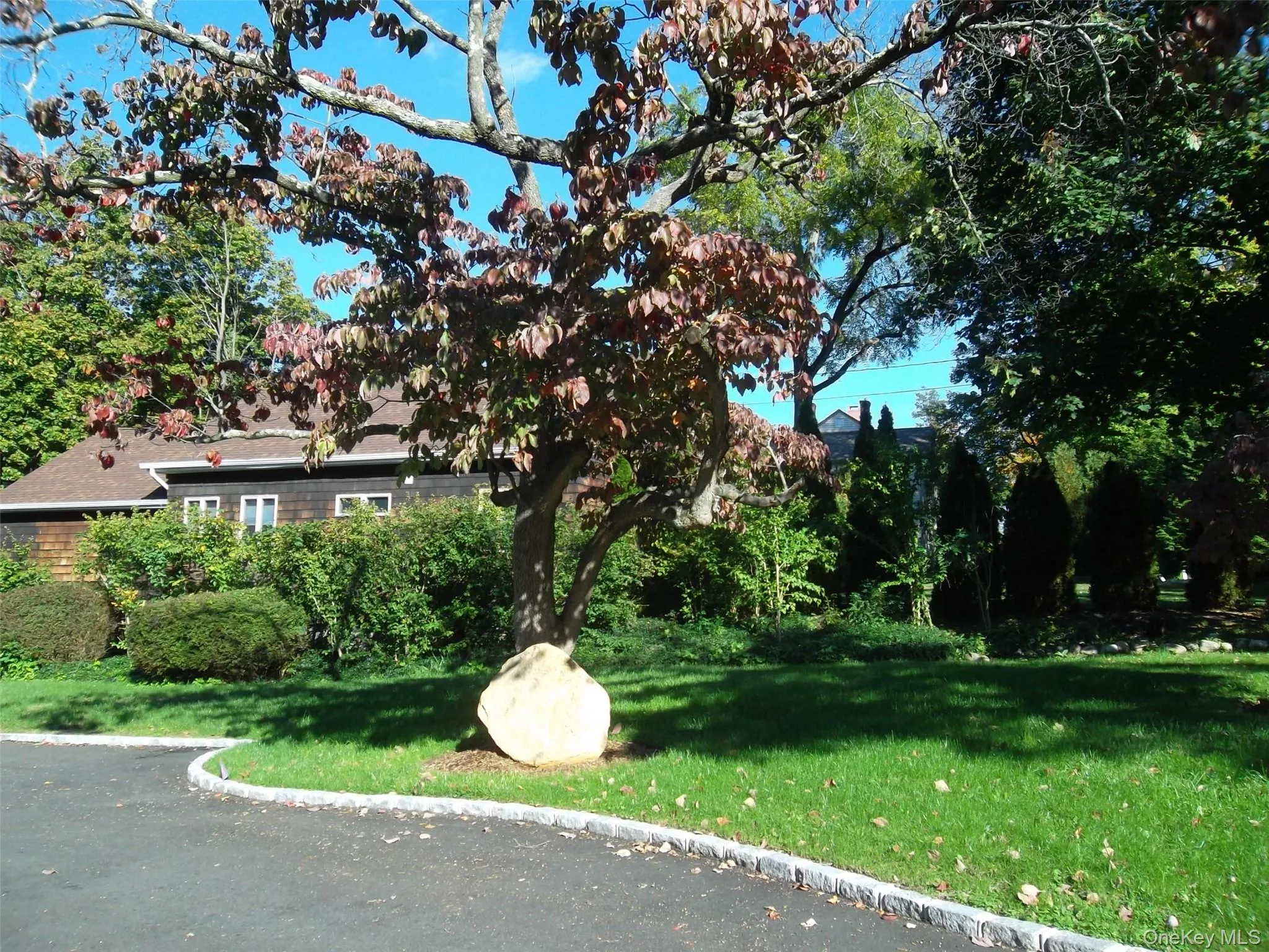 95 High Street, Huntington, NY, 1 Bedroom Bedrooms, 3 Rooms Rooms,1 BathroomBathrooms,Residential Lease,For Rent,High,0,1035319 95 High Street, Huntington, NY, 1 Bedroom Bedrooms, 3 Rooms Rooms,1 BathroomBathrooms,Residential Lease,For Rent,High,0,1035319