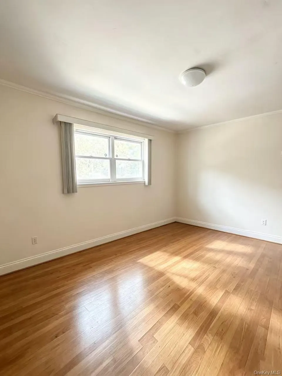 204-28 46th Avenue, New York, NY, 3 Bedrooms Bedrooms, 6 Rooms Rooms,2 BathroomsBathrooms,Residential,For Rent,46th,0,1035322 204-28 46th Avenue, New York, NY, 3 Bedrooms Bedrooms, 6 Rooms Rooms,2 BathroomsBathrooms,Residential,For Rent,46th,0,1035322