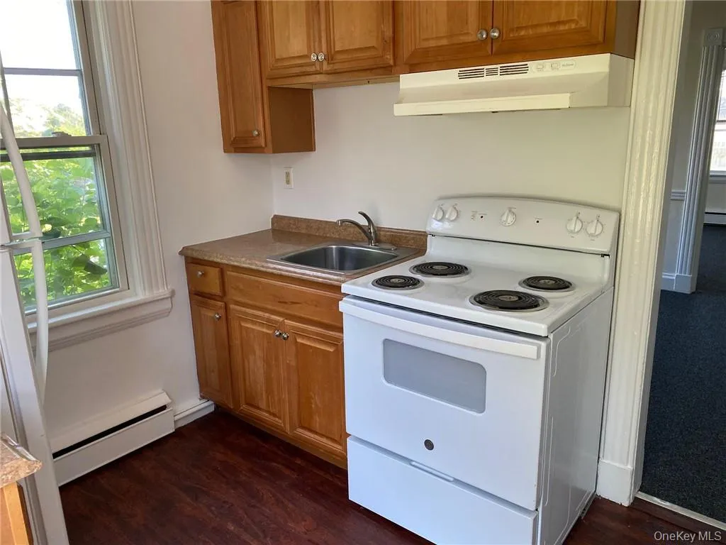 Kitchen featuring white range with electric stovetop, a baseboard radiator, dark wood-style floors, a healthy amount of sunlight, and sink Kitchen featuring white range with electric stovetop, a baseboard radiator, dark wood-style floors, a healthy amount of sunlight, and sink