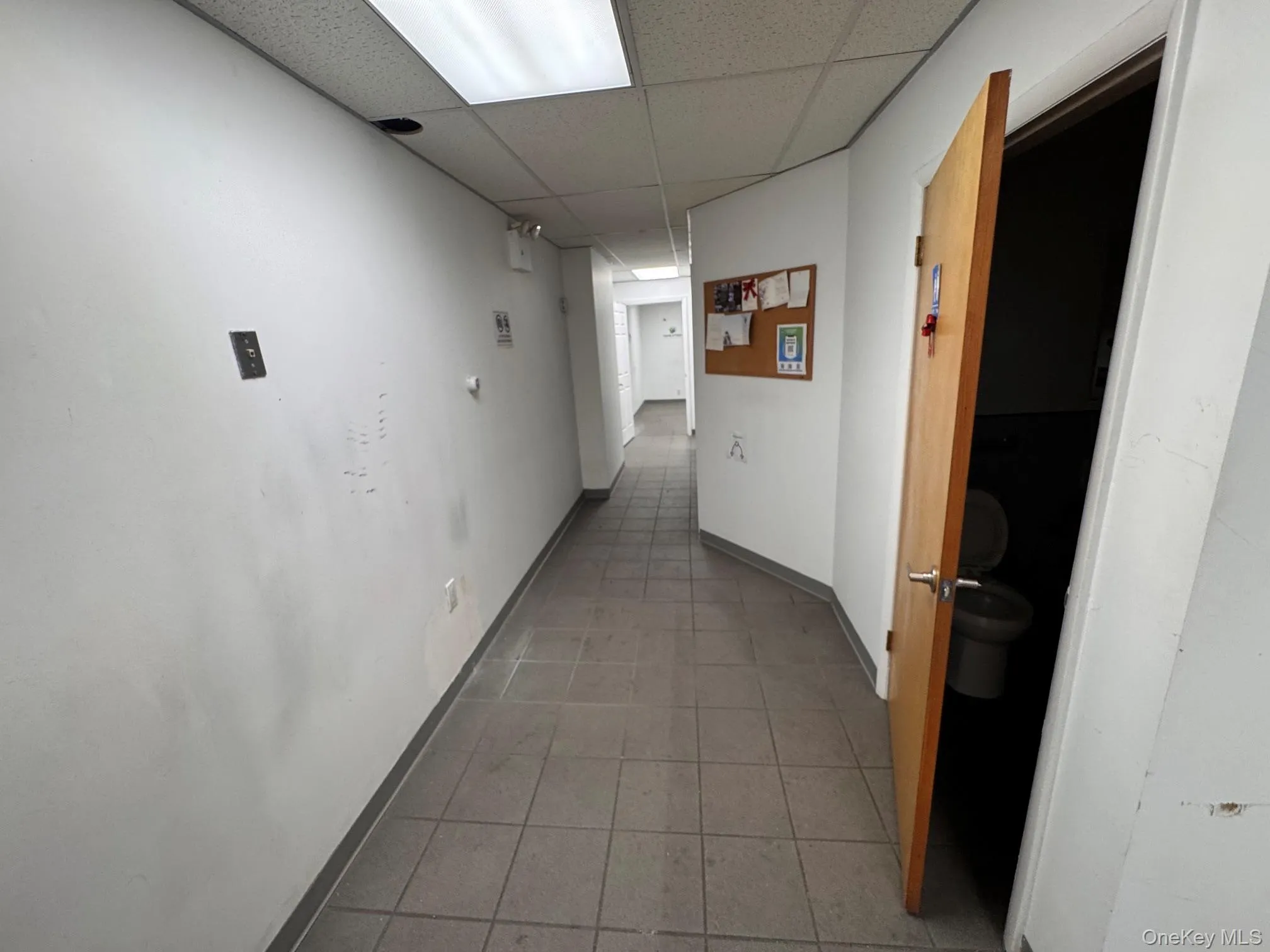 8620 Jamaica Avenue, New York, NY, ,Commercial Lease,For Rent,Jamaica,0,1035357 8620 Jamaica Avenue, New York, NY, ,Commercial Lease,For Rent,Jamaica,0,1035357