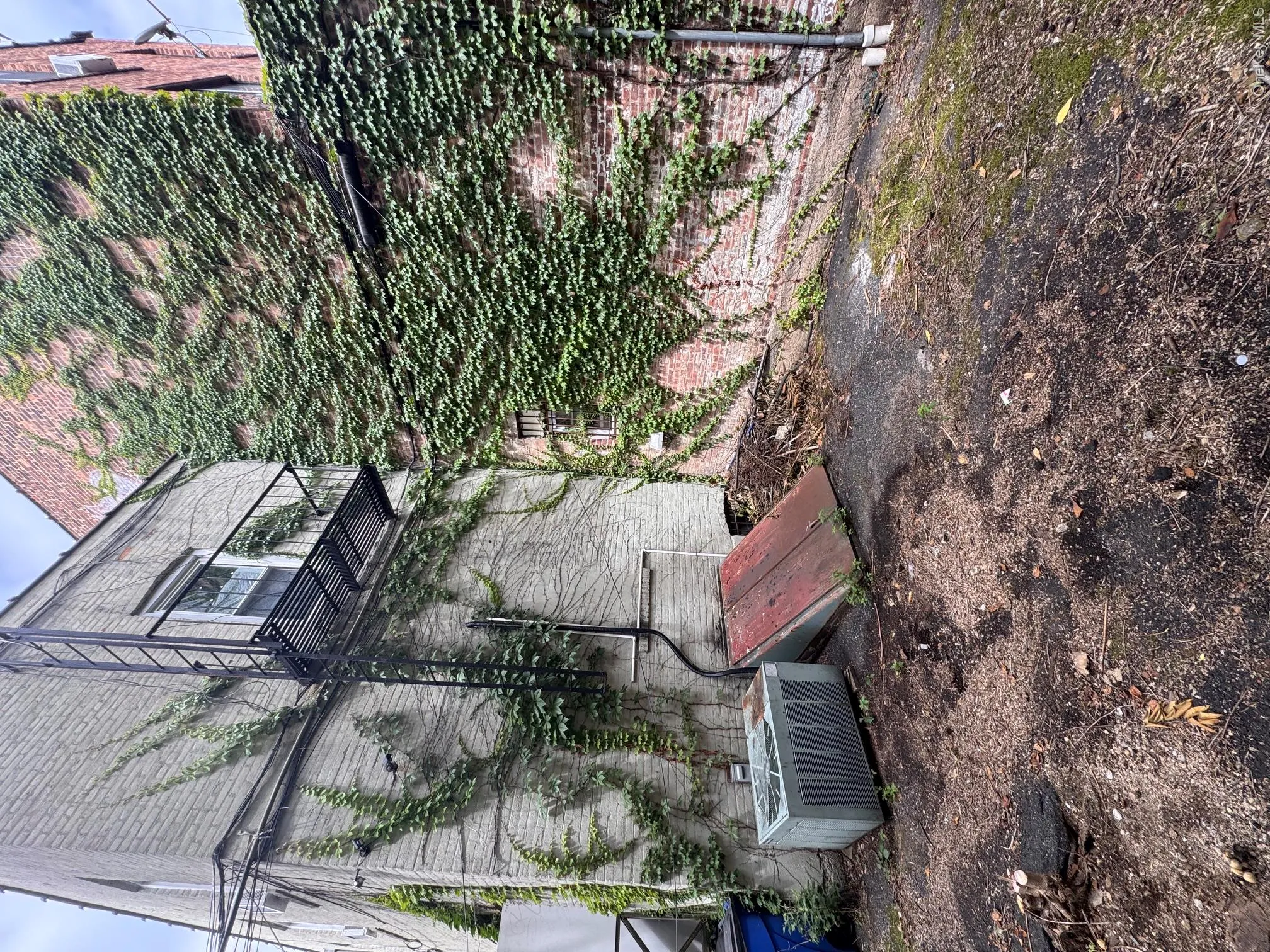 8620 Jamaica Avenue, New York, NY, ,Commercial Lease,For Rent,Jamaica,0,1035357 8620 Jamaica Avenue, New York, NY, ,Commercial Lease,For Rent,Jamaica,0,1035357
