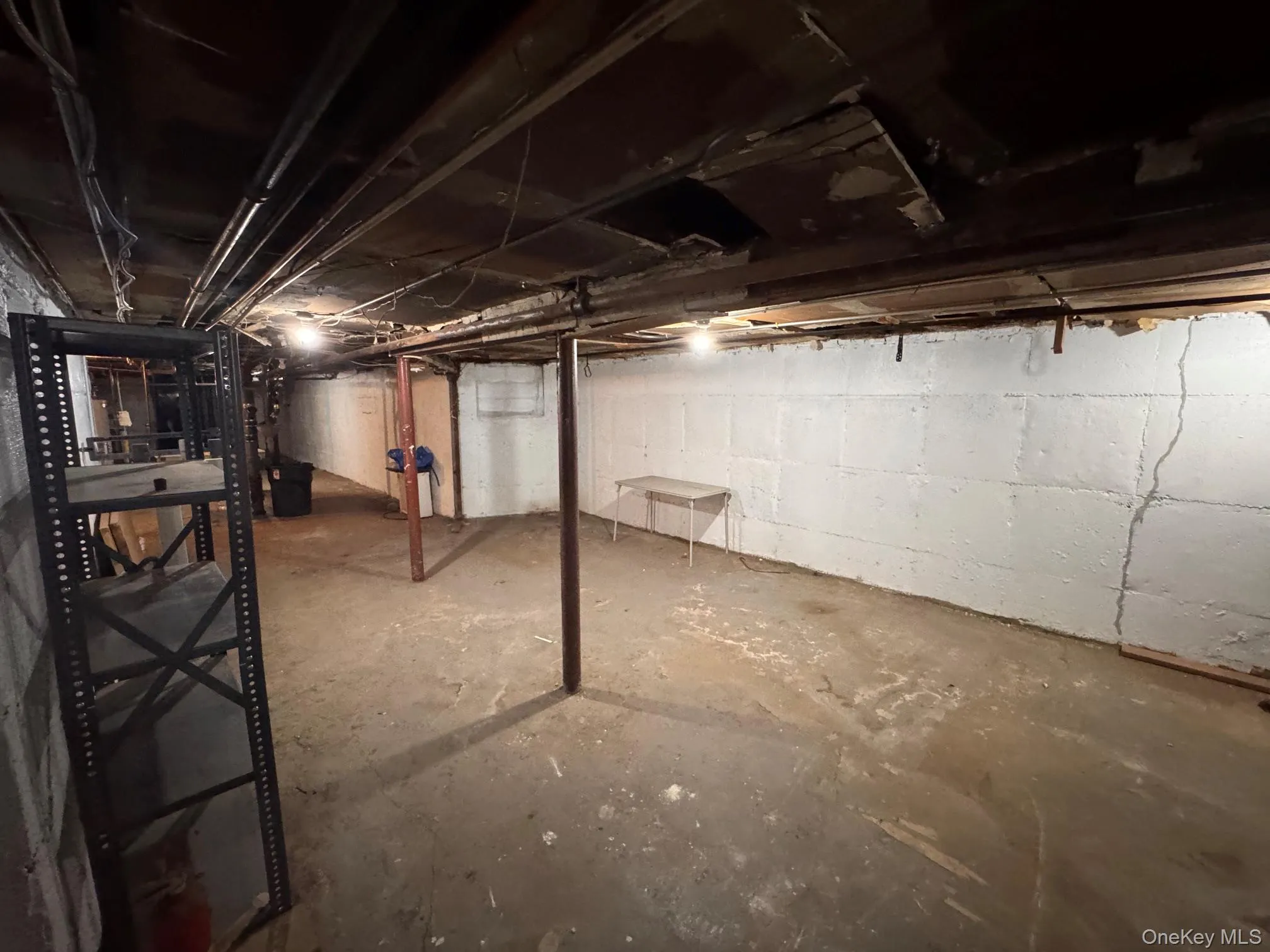8620 Jamaica Avenue, New York, NY, ,Commercial Lease,For Rent,Jamaica,0,1035357 8620 Jamaica Avenue, New York, NY, ,Commercial Lease,For Rent,Jamaica,0,1035357