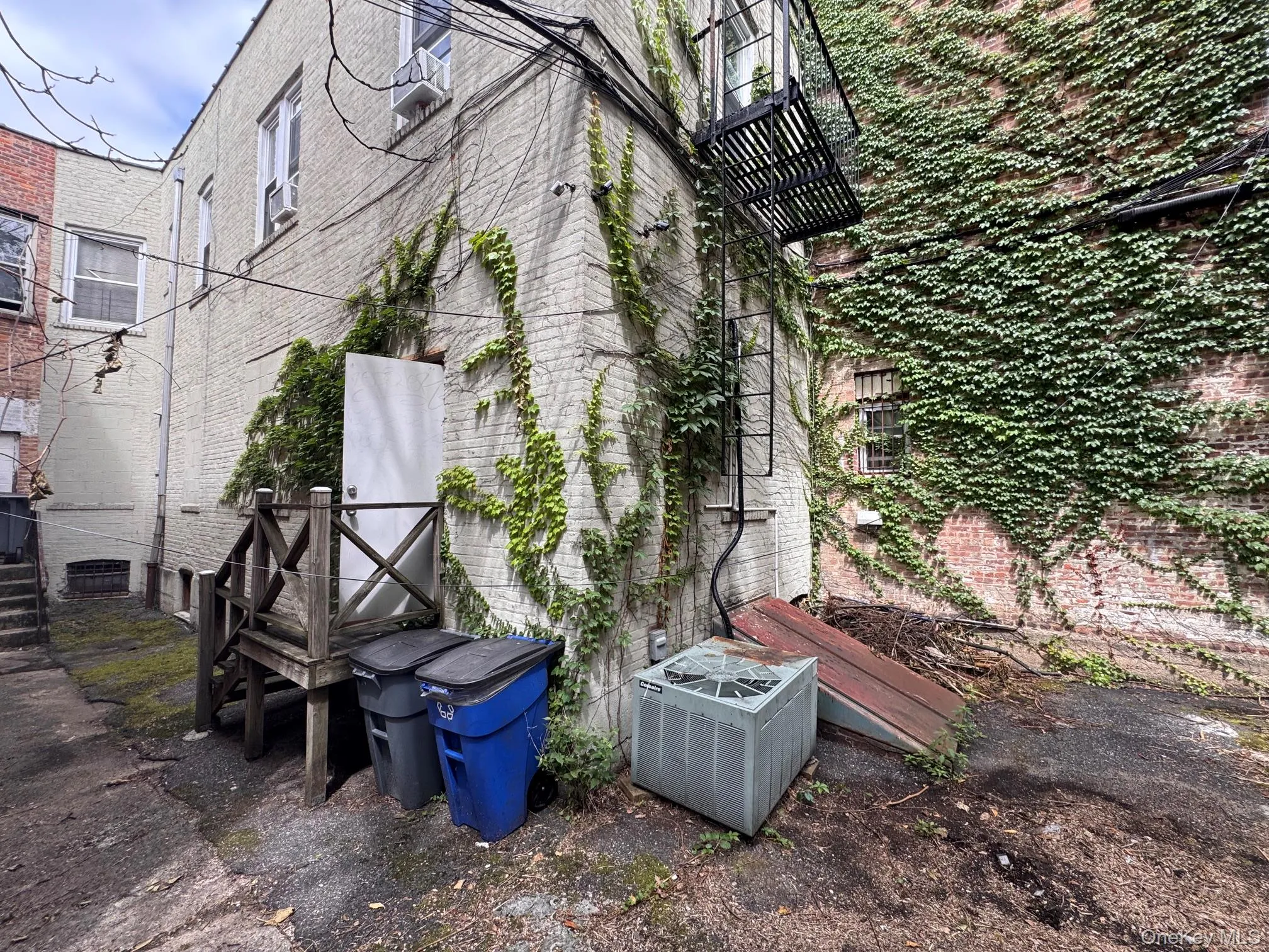 8620 Jamaica Avenue, New York, NY, ,Commercial Lease,For Rent,Jamaica,0,1035357 8620 Jamaica Avenue, New York, NY, ,Commercial Lease,For Rent,Jamaica,0,1035357