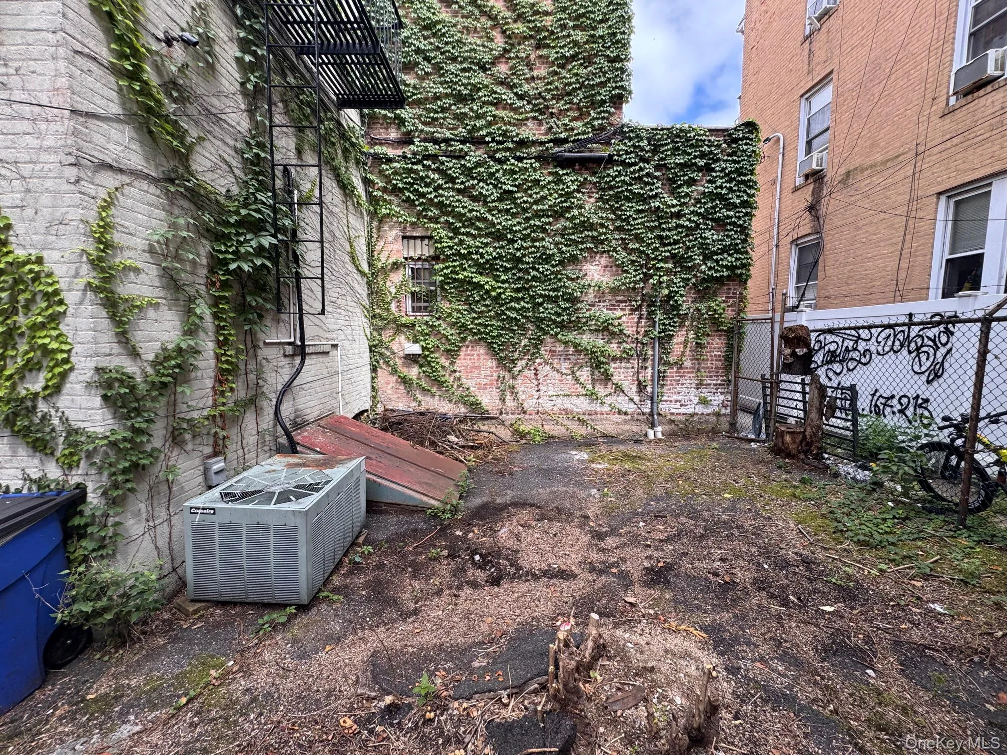 8620 Jamaica Avenue, New York, NY, ,Commercial Lease,For Rent,Jamaica,0,1035357 8620 Jamaica Avenue, New York, NY, ,Commercial Lease,For Rent,Jamaica,0,1035357
