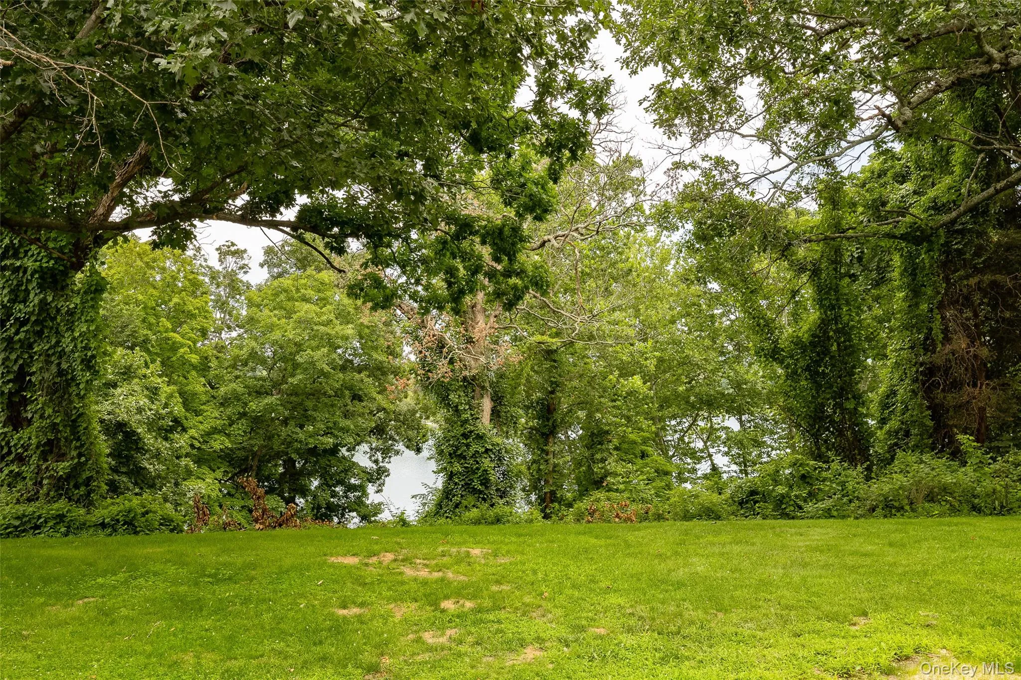 1905 Chelsea Cove, Beekman, NY, 2 Bedrooms Bedrooms, 5 Rooms Rooms,2 BathroomsBathrooms,Residential,For Rent,Chelsea,0,1035372 1905 Chelsea Cove, Beekman, NY, 2 Bedrooms Bedrooms, 5 Rooms Rooms,2 BathroomsBathrooms,Residential,For Rent,Chelsea,0,1035372