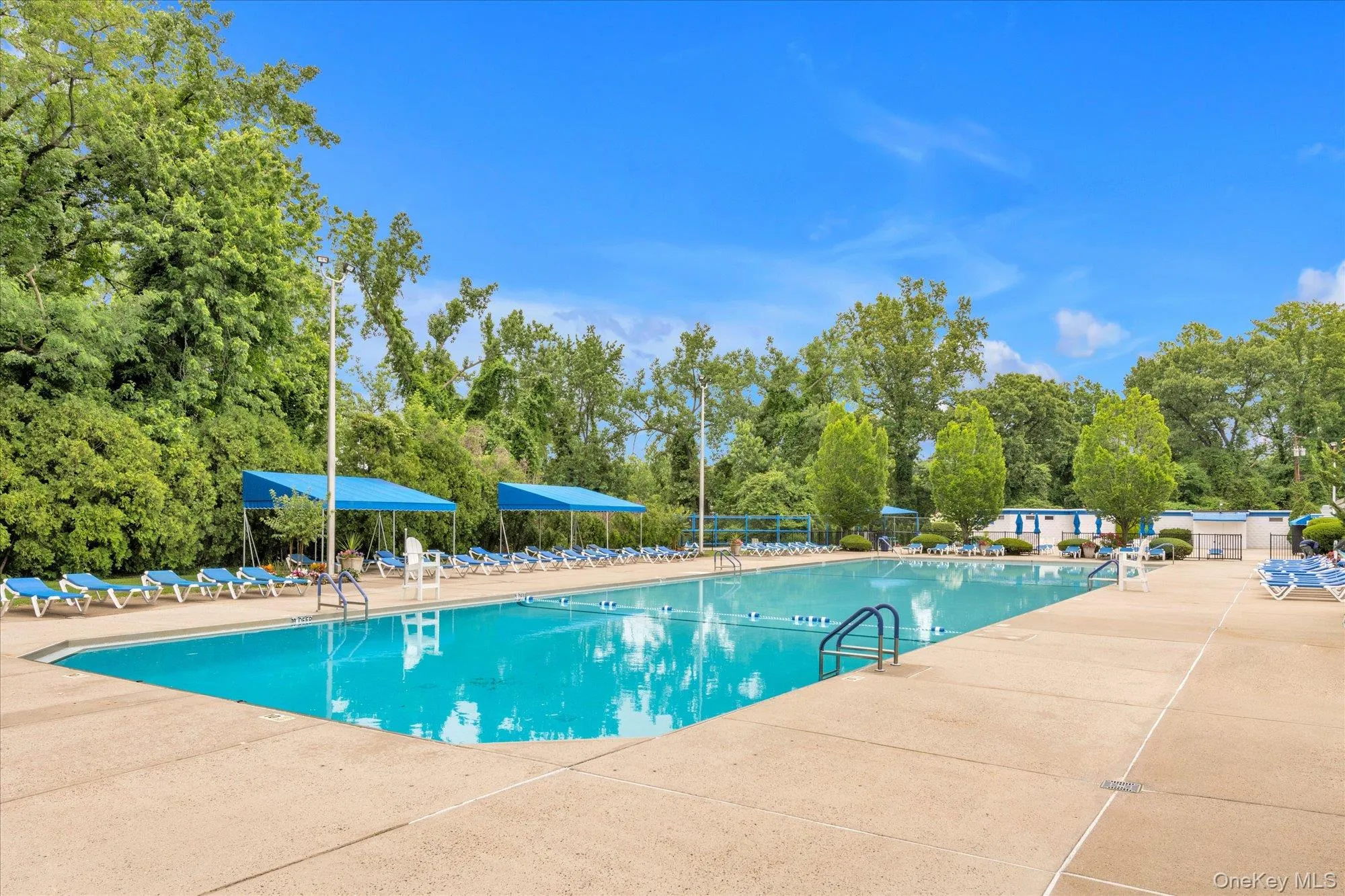 2 Mill Drive, North Hempstead, NY, 1 Bedroom Bedrooms, 3 Rooms Rooms,1 BathroomBathrooms,Residential,For Rent,Mill,0,1035418 2 Mill Drive, North Hempstead, NY, 1 Bedroom Bedrooms, 3 Rooms Rooms,1 BathroomBathrooms,Residential,For Rent,Mill,0,1035418