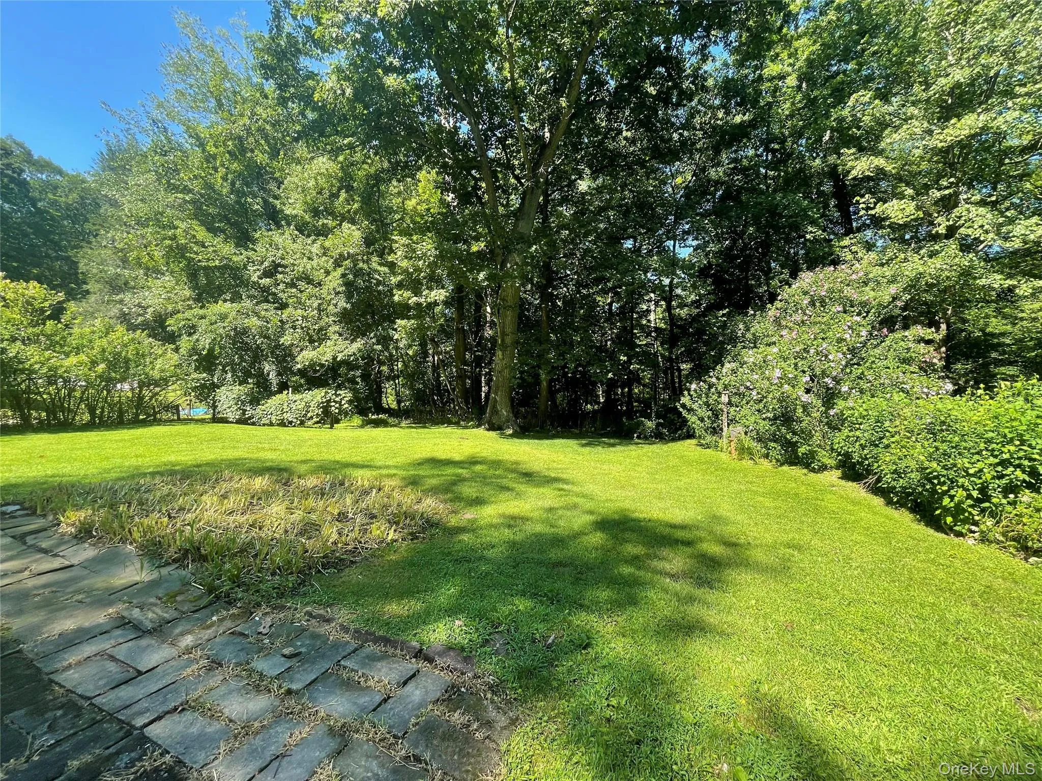 backyard backyard