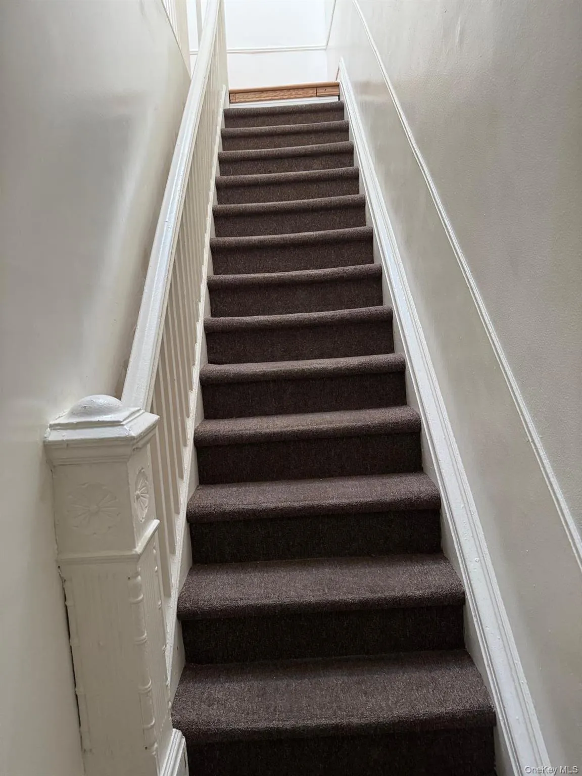 555 Pine Street, New York, NY, 5 Bedrooms Bedrooms, 6 Rooms Rooms,1 BathroomBathrooms,Residential Lease,For Rent,Pine,0,1035453 555 Pine Street, New York, NY, 5 Bedrooms Bedrooms, 6 Rooms Rooms,1 BathroomBathrooms,Residential Lease,For Rent,Pine,0,1035453