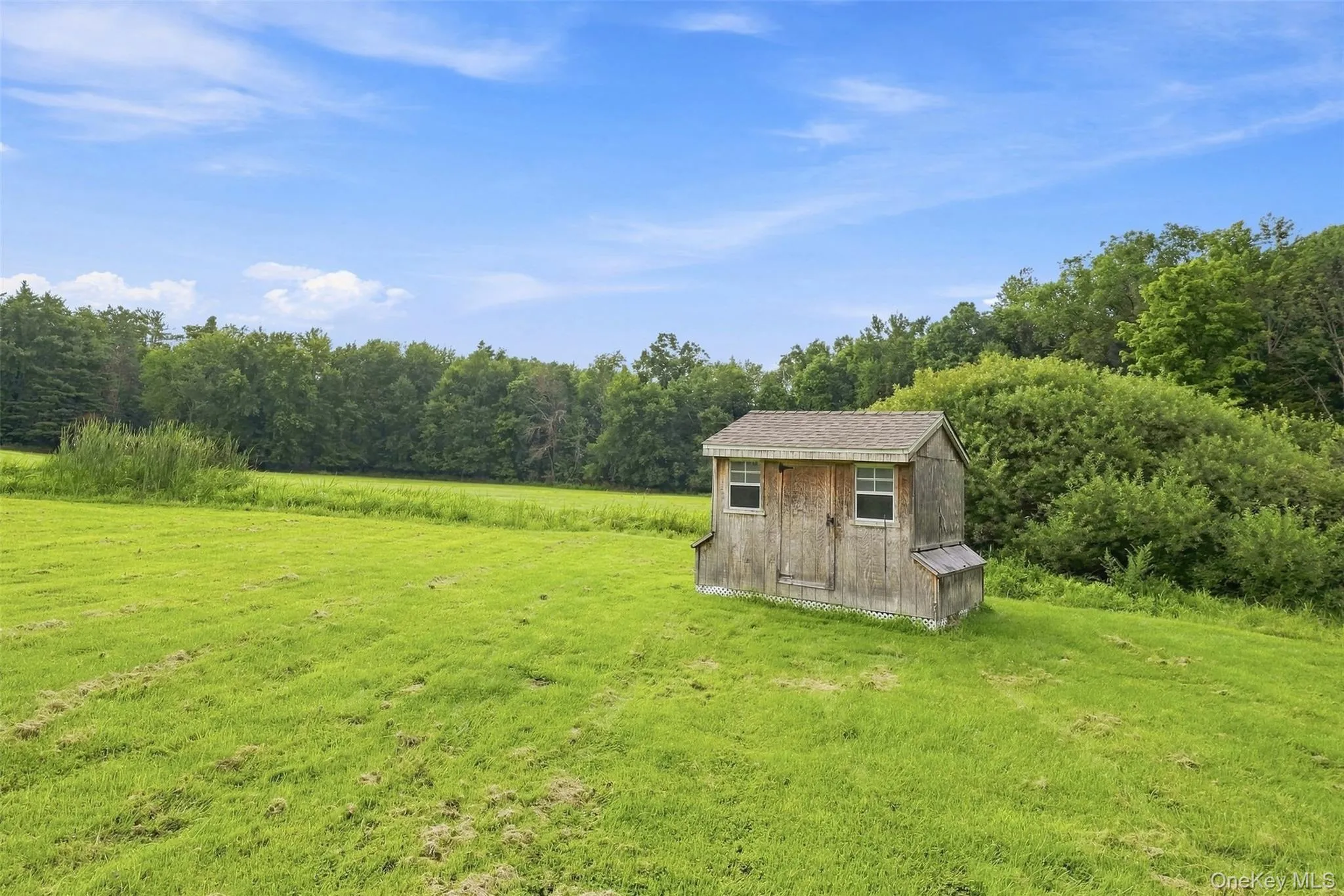 Storage or chicken coop Storage or chicken coop