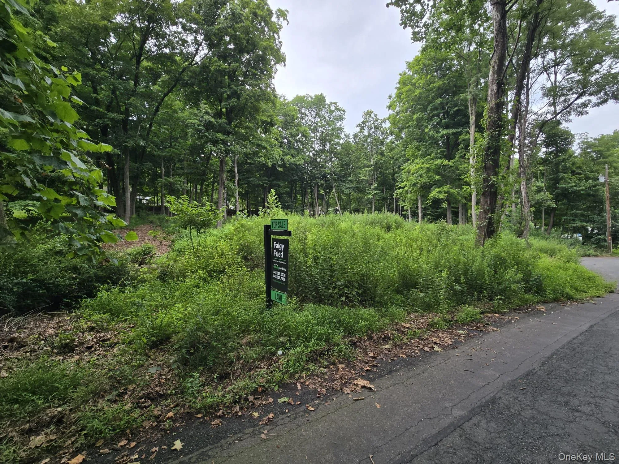 4 Samego Court, Ramapo, NY, ,Land,For Rent,Samego,0,1035472 4 Samego Court, Ramapo, NY, ,Land,For Rent,Samego,0,1035472
