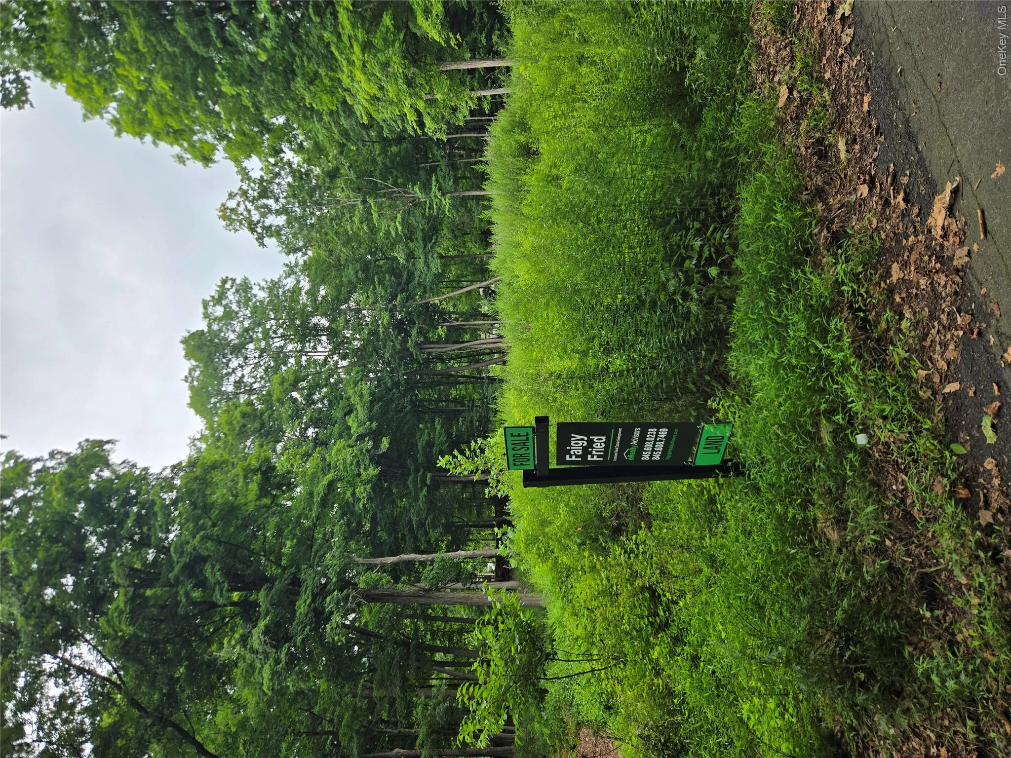 4 Samego Court, Ramapo, NY, ,Land,For Rent,Samego,0,1035472 4 Samego Court, Ramapo, NY, ,Land,For Rent,Samego,0,1035472