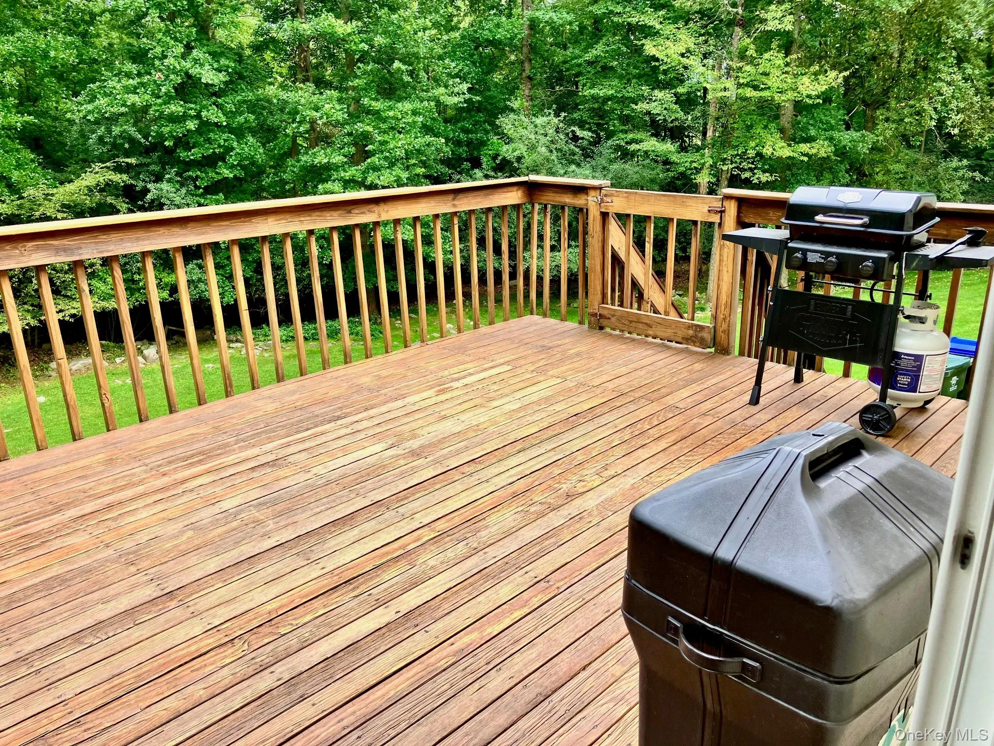 36 Carpenter Road, Wawayanda, NY, 3 Bedrooms Bedrooms, 6 Rooms Rooms,2 BathroomsBathrooms,Residential,For Rent,Carpenter,0,1035483 36 Carpenter Road, Wawayanda, NY, 3 Bedrooms Bedrooms, 6 Rooms Rooms,2 BathroomsBathrooms,Residential,For Rent,Carpenter,0,1035483