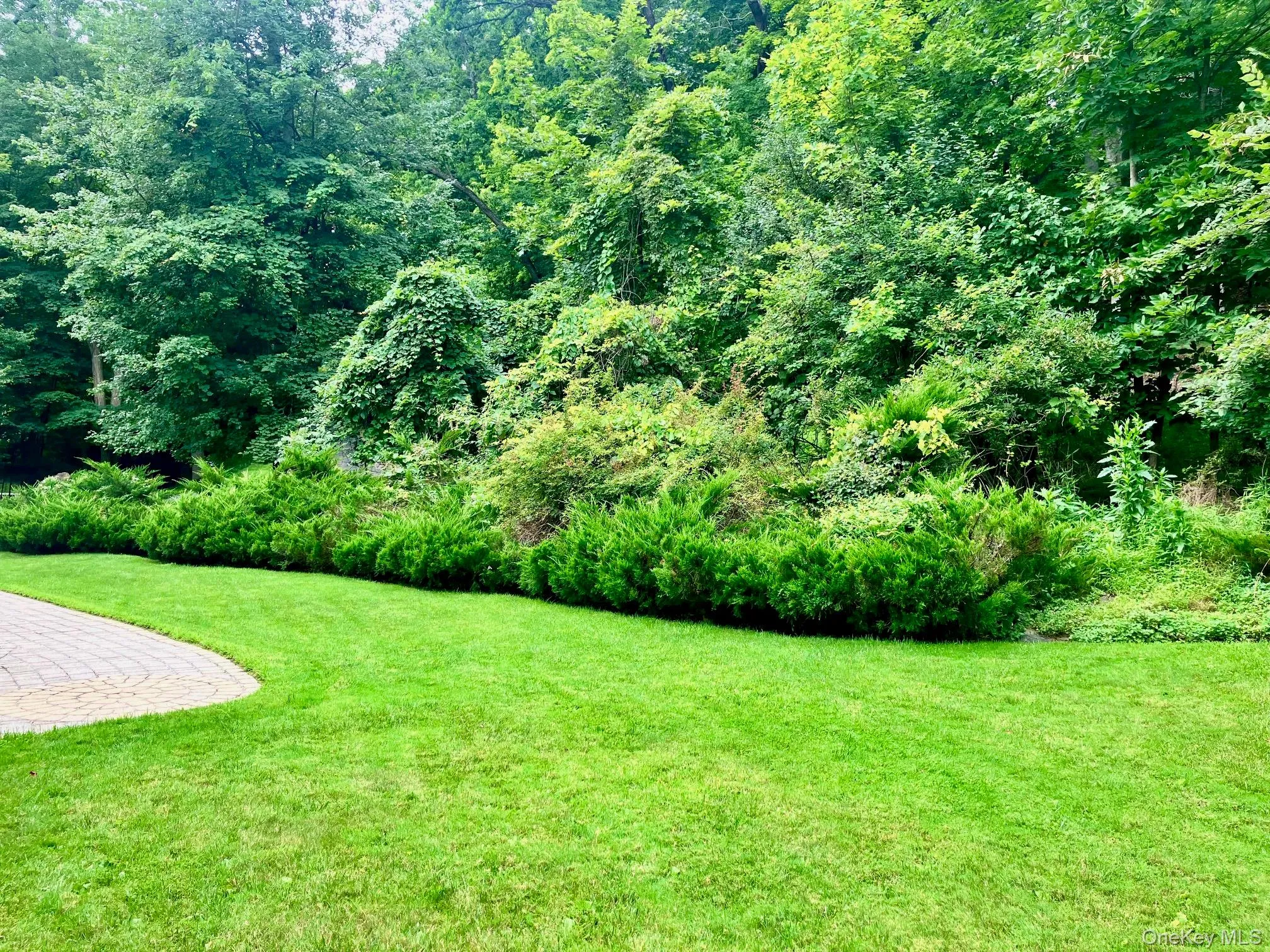 36 Carpenter Road, Wawayanda, NY, 3 Bedrooms Bedrooms, 6 Rooms Rooms,2 BathroomsBathrooms,Residential,For Rent,Carpenter,0,1035483 36 Carpenter Road, Wawayanda, NY, 3 Bedrooms Bedrooms, 6 Rooms Rooms,2 BathroomsBathrooms,Residential,For Rent,Carpenter,0,1035483