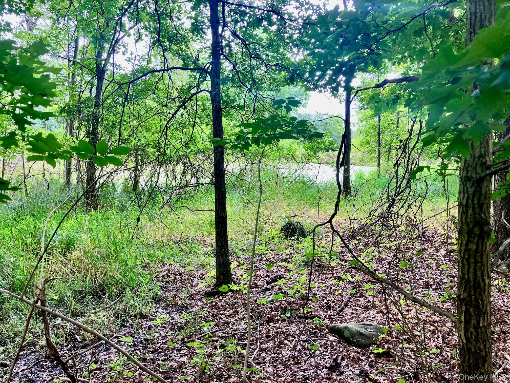 36 Carpenter Road, Wawayanda, NY, 3 Bedrooms Bedrooms, 6 Rooms Rooms,2 BathroomsBathrooms,Residential,For Rent,Carpenter,0,1035483 36 Carpenter Road, Wawayanda, NY, 3 Bedrooms Bedrooms, 6 Rooms Rooms,2 BathroomsBathrooms,Residential,For Rent,Carpenter,0,1035483